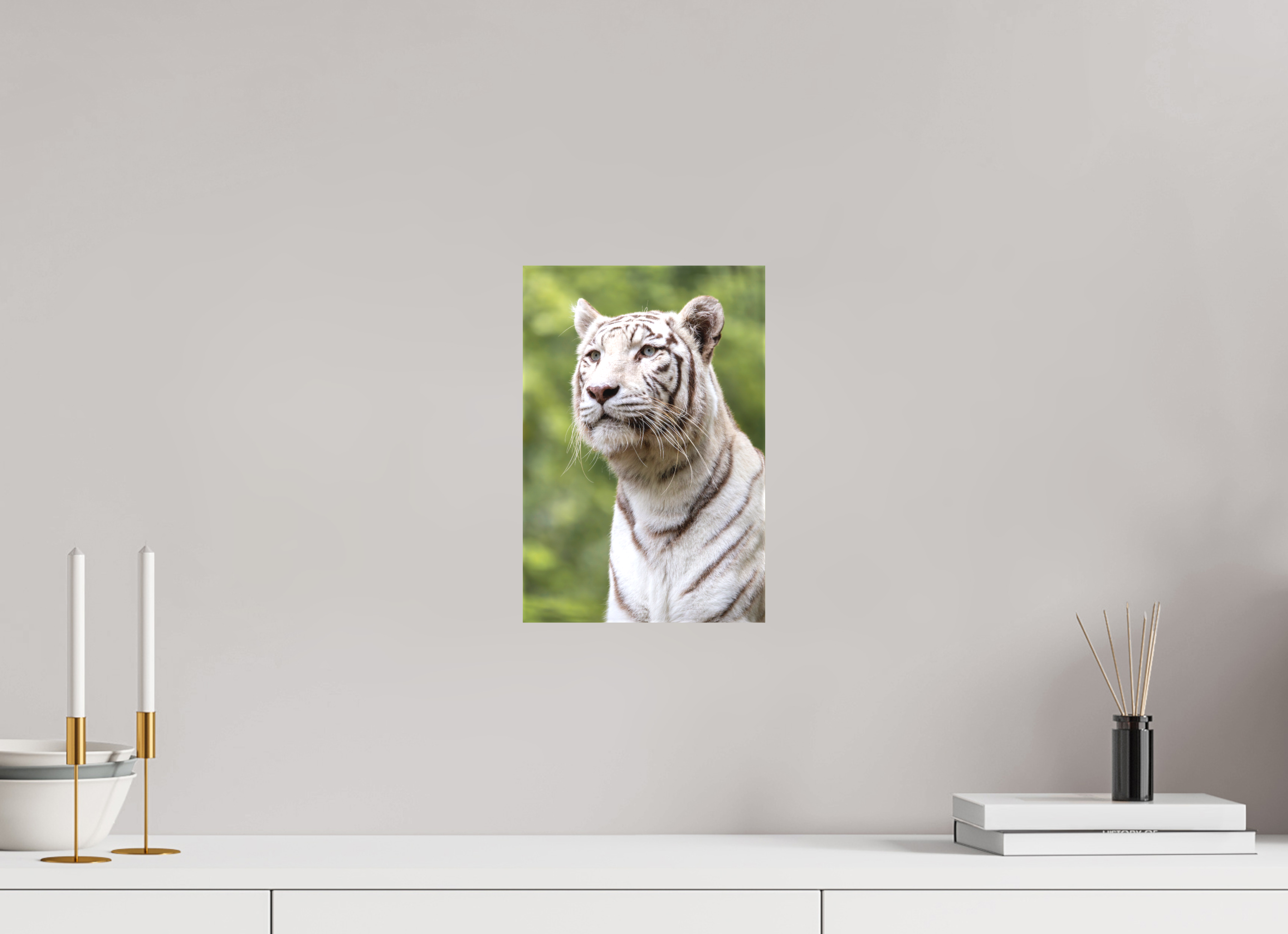 20 x 30 cm, Leinwand Gaze of the White King