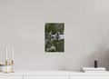 20 x 30 cm, Fine Art Print auf Alu-Dibond Mirror of the Wild