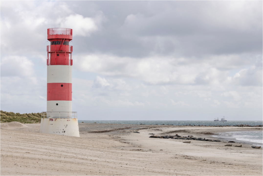 Main image Coastal Sanctuary