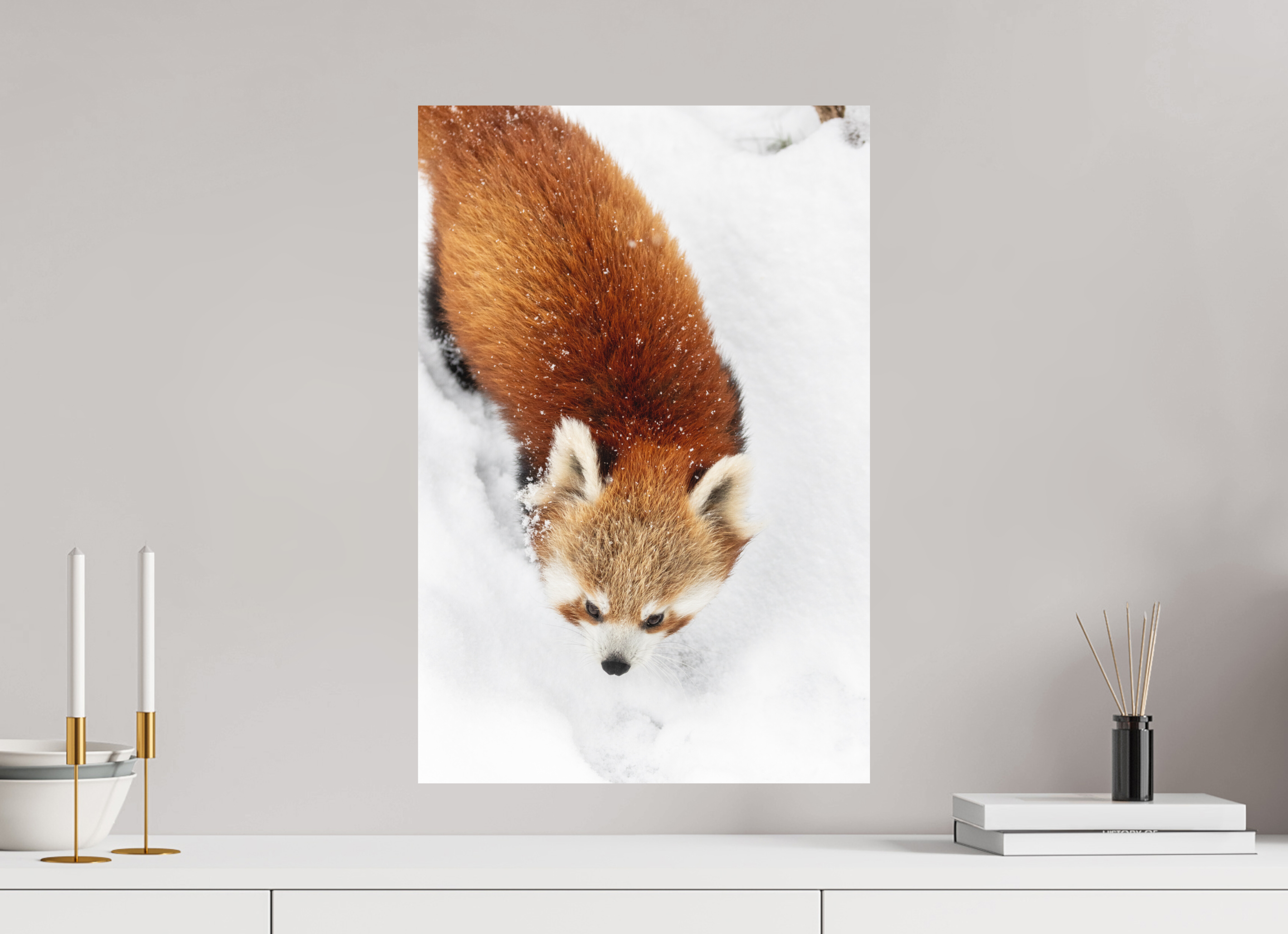 40 x 60 cm, Fine-Art Print Matt Snowbound Explorer