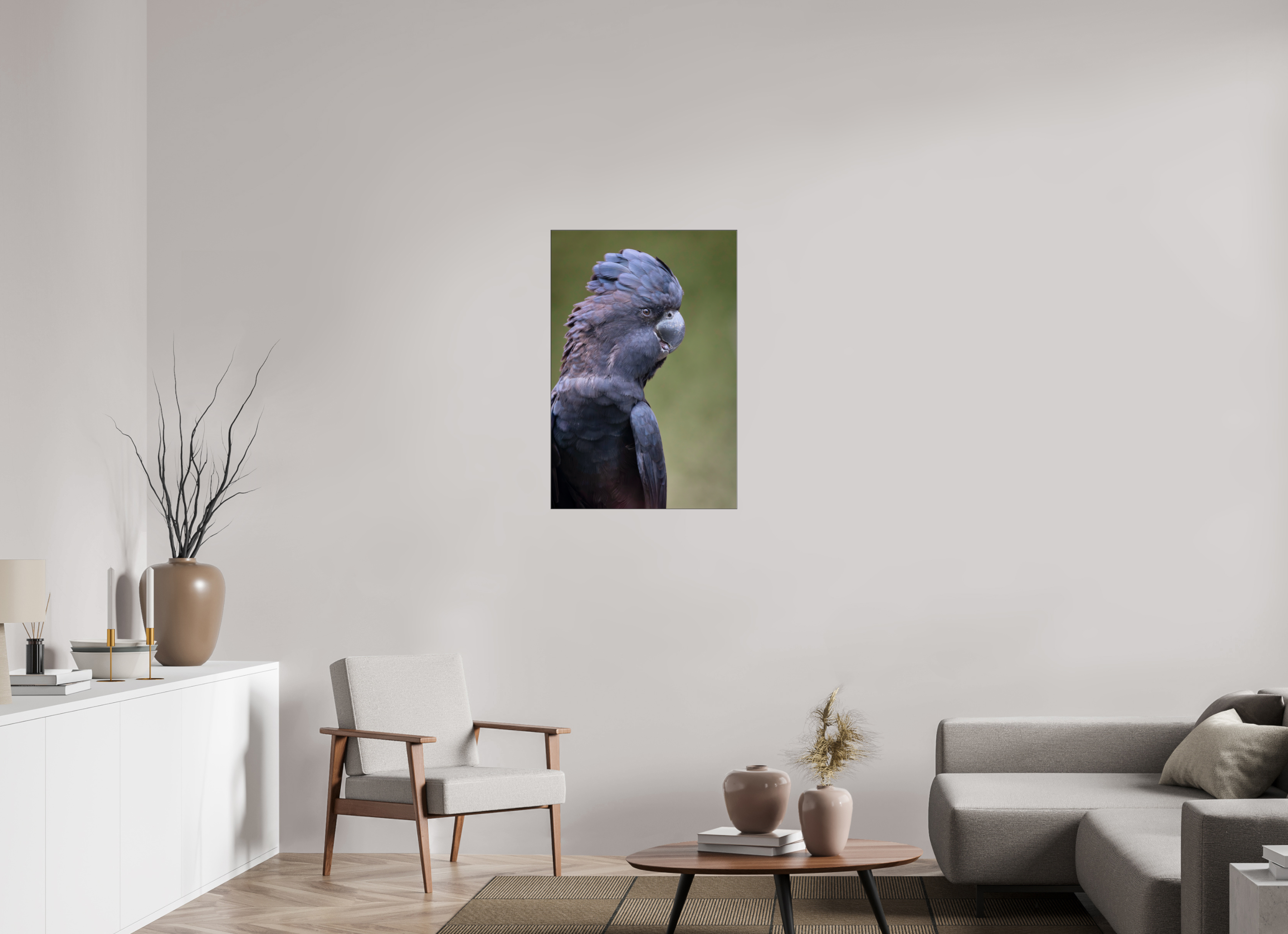 60 x 90 cm, Foto-Abzug hinter Acrylglas glänzend Profile of the Black Cockatoo