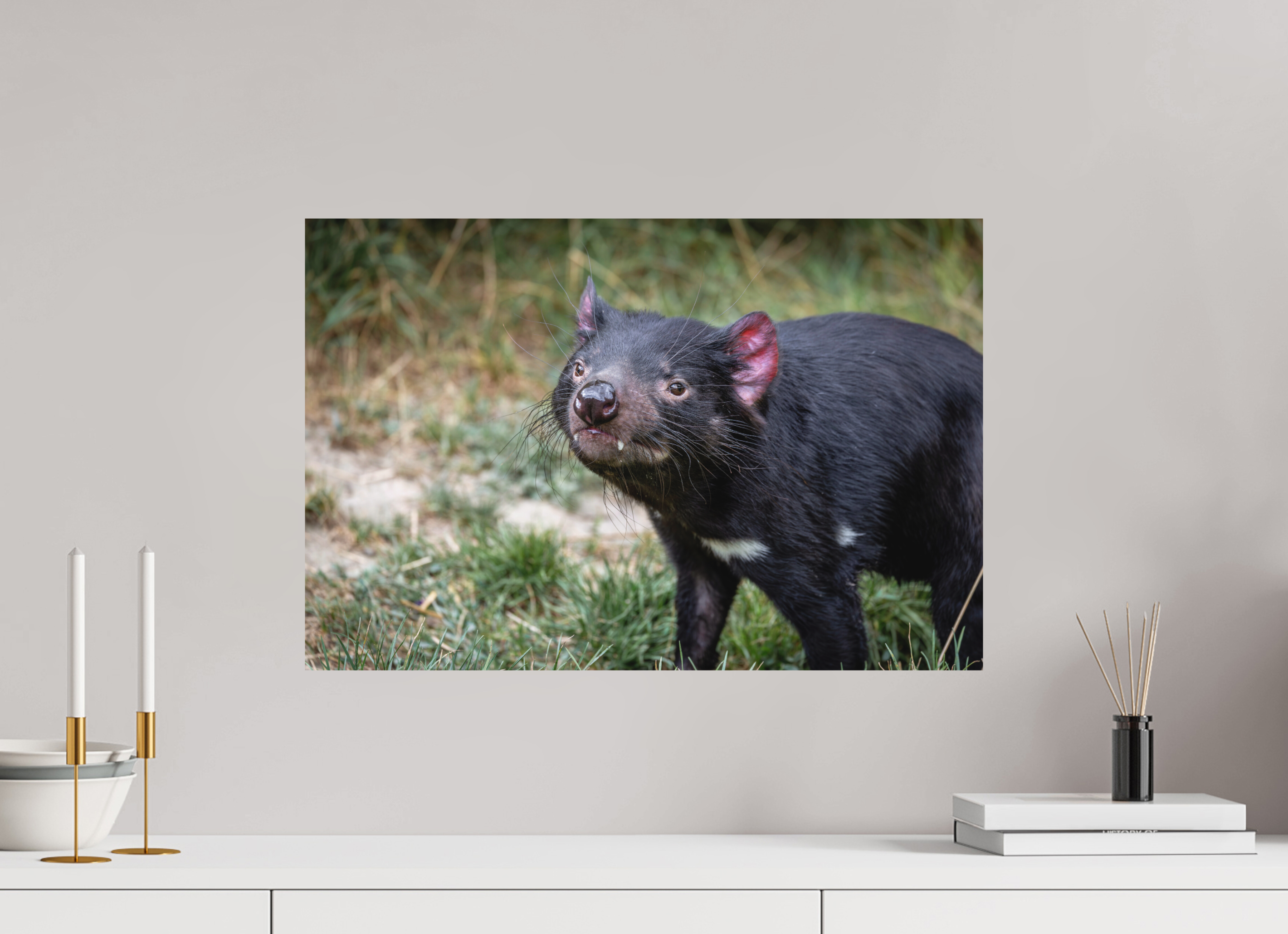 60 x 40 cm, Fine-Art Print Matt Friendly Devil