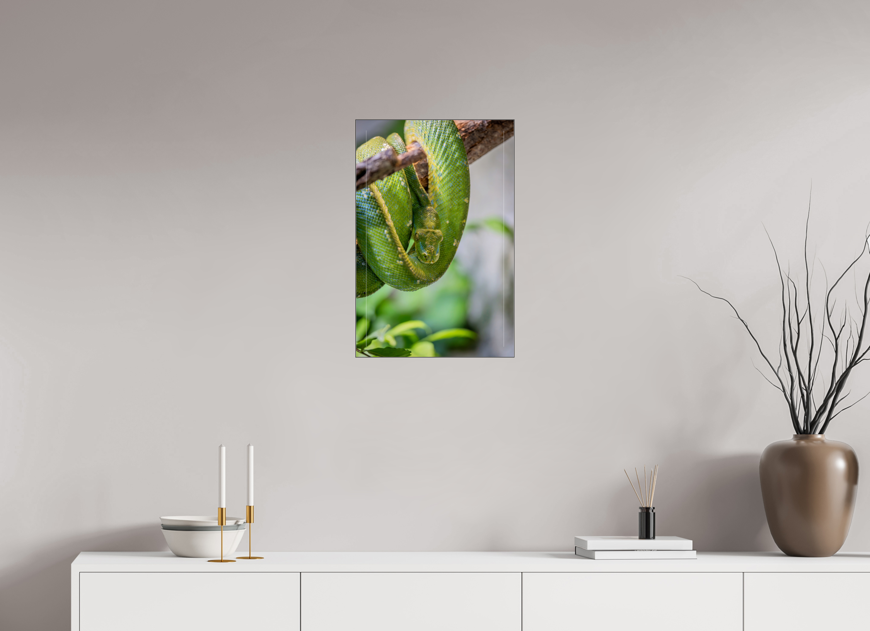 40 x 60 cm, Foto-Abzug hinter Acrylglas glänzend Coiled in Green