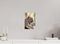 20 x 30 cm, Fine Art Print auf Alu-Dibond Silent Watch