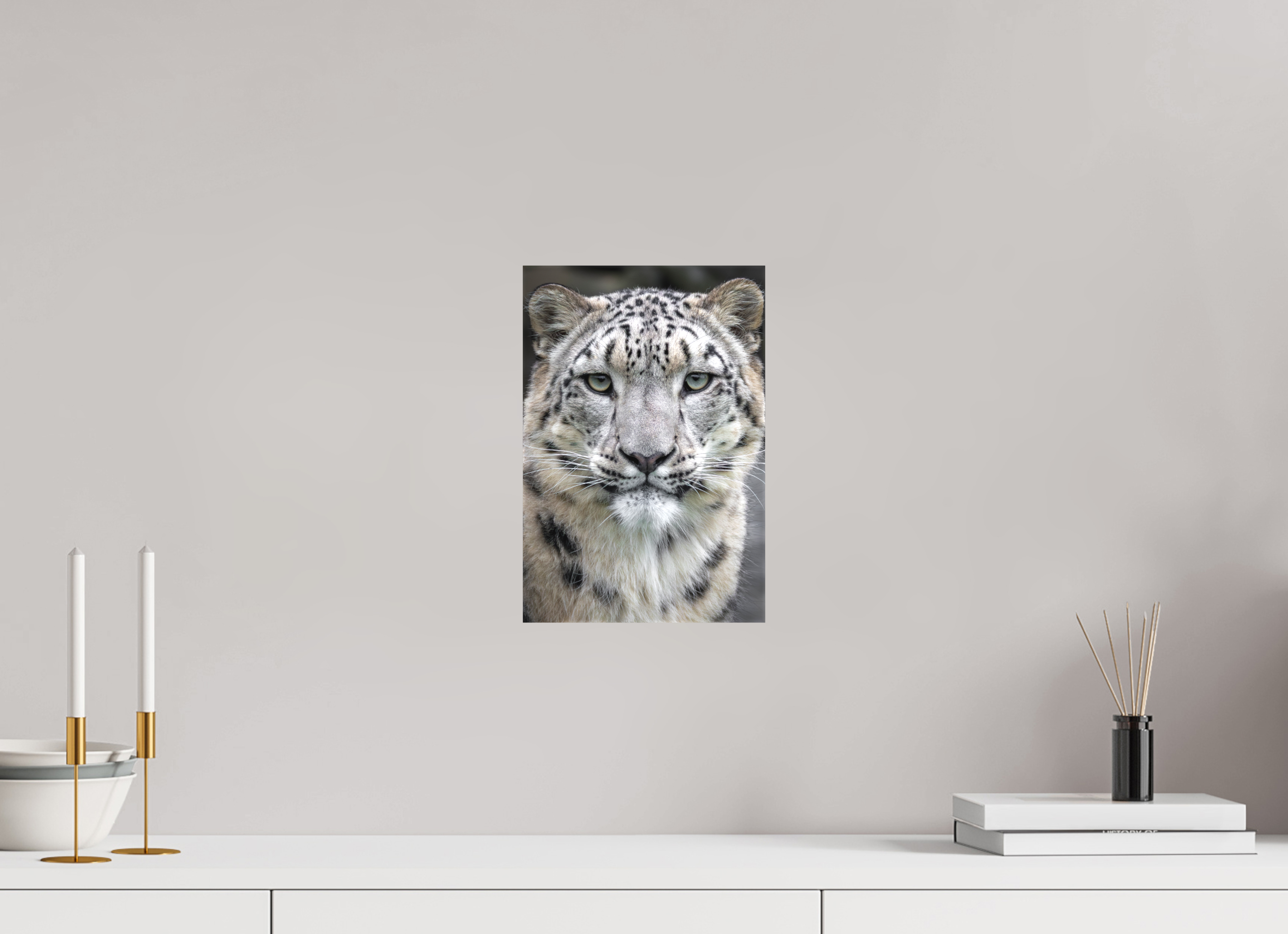 20 x 30 cm, Leinwand Gentle Curiosity