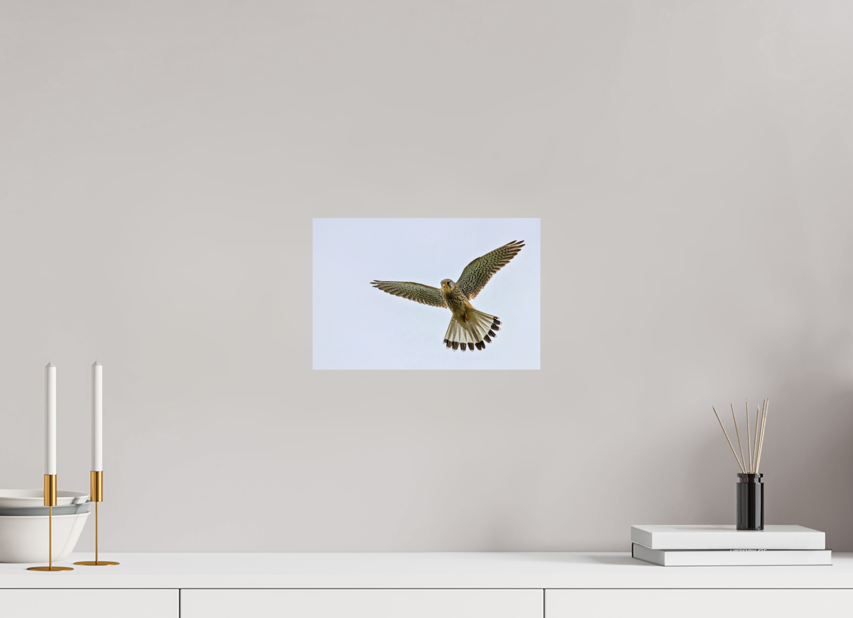30 x 20 cm, Fine Art Print auf Alu-Dibond Hovering Hunter