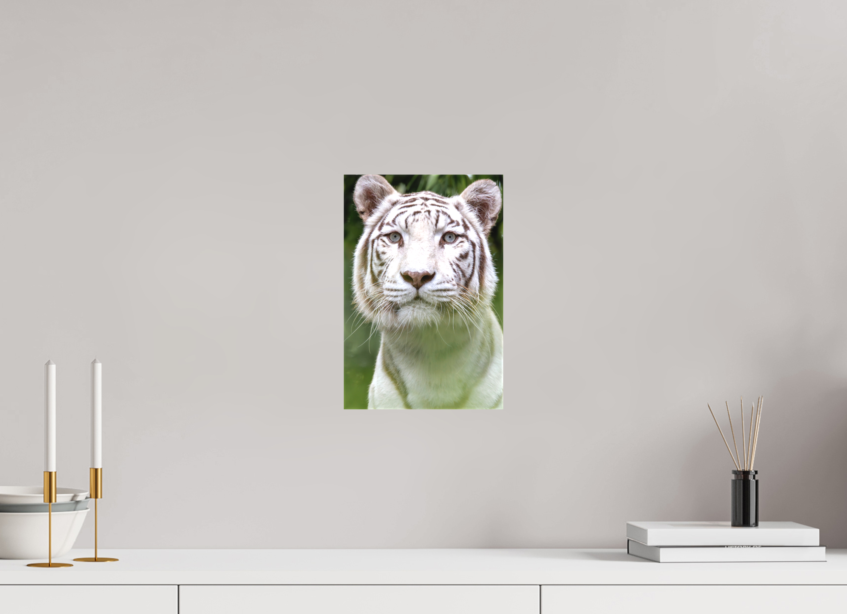20 x 30 cm, Leinwand Jungle Phantom