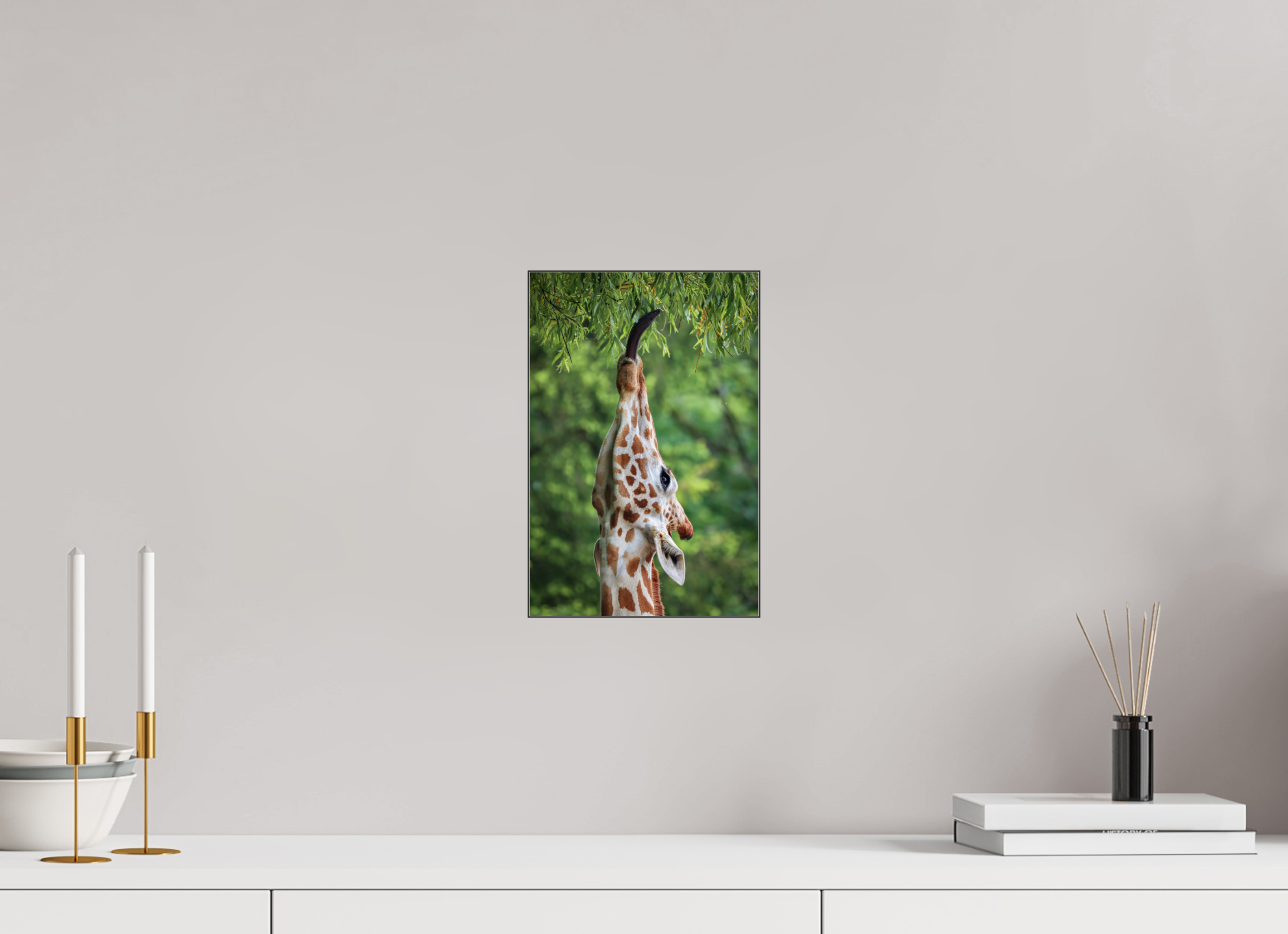 20 x 30 cm, Foto-Abzug hinter Acrylglas glänzend Tree Top Snack
