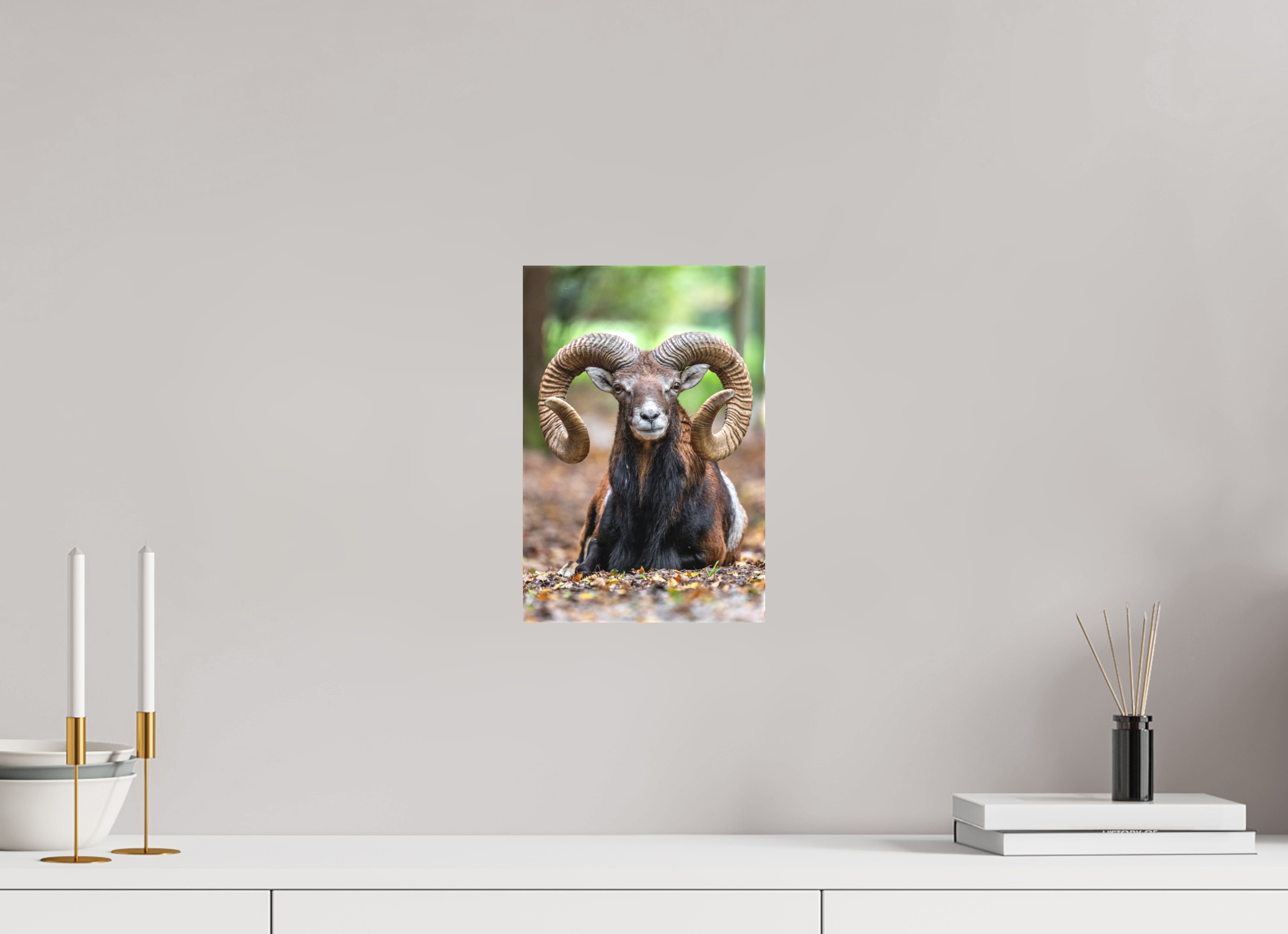 20 x 30 cm, Leinwand Majestic Rest