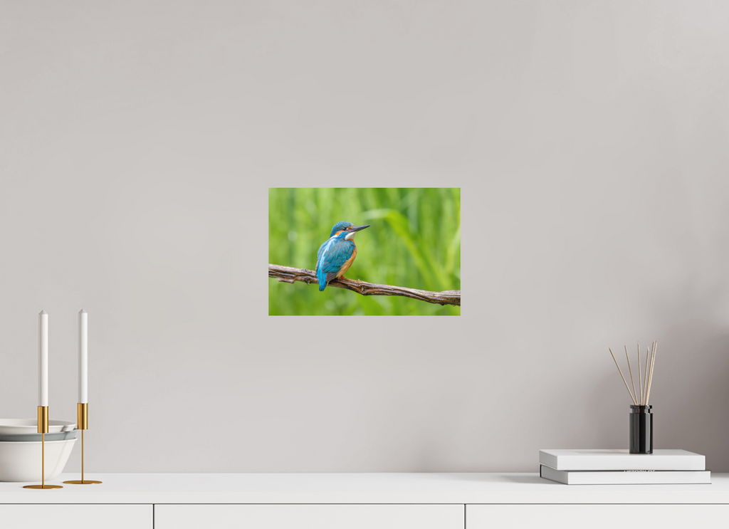 30 x 20 cm, Fine-Art Matt Nature's Jewel