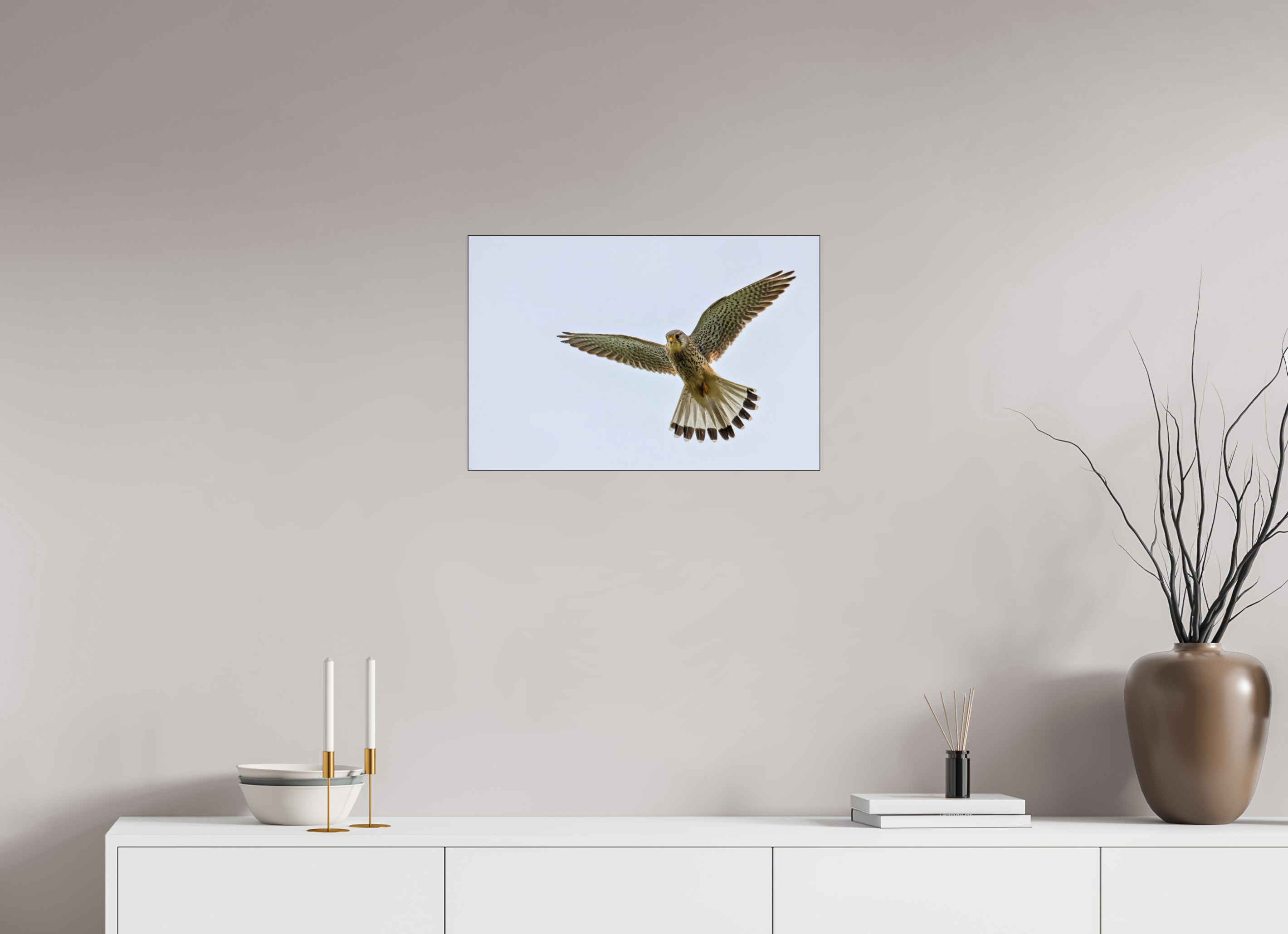 60 x 40 cm, Foto-Abzug hinter Acrylglas glänzend Hovering Hunter