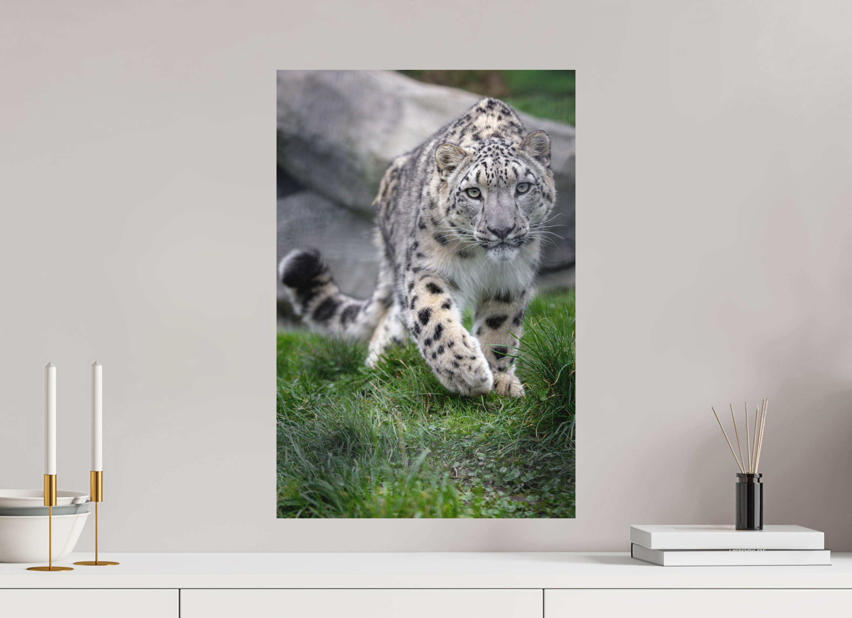 40 x 60 cm, Fine-Art Print Matt Curious Hunter