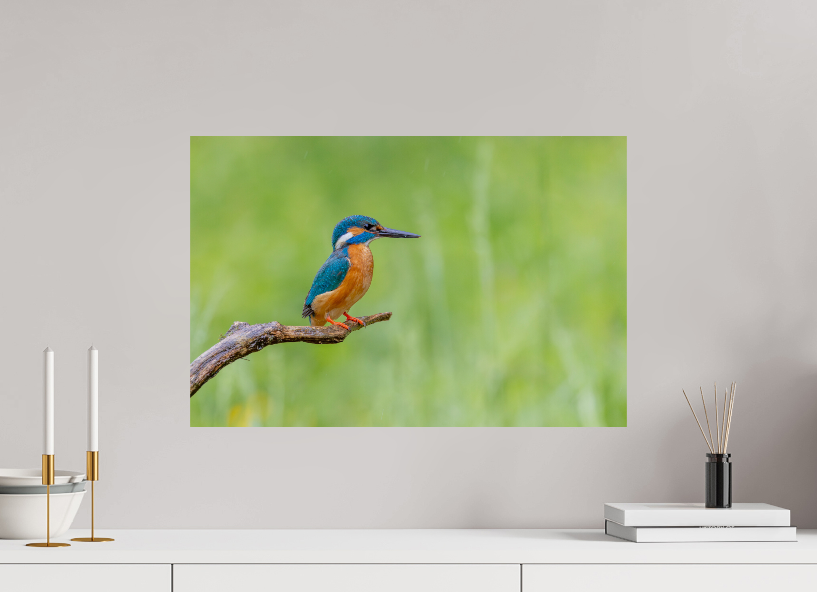 60 x 40 cm, Fine Art Print auf Alu-Dibond Silent Watcher