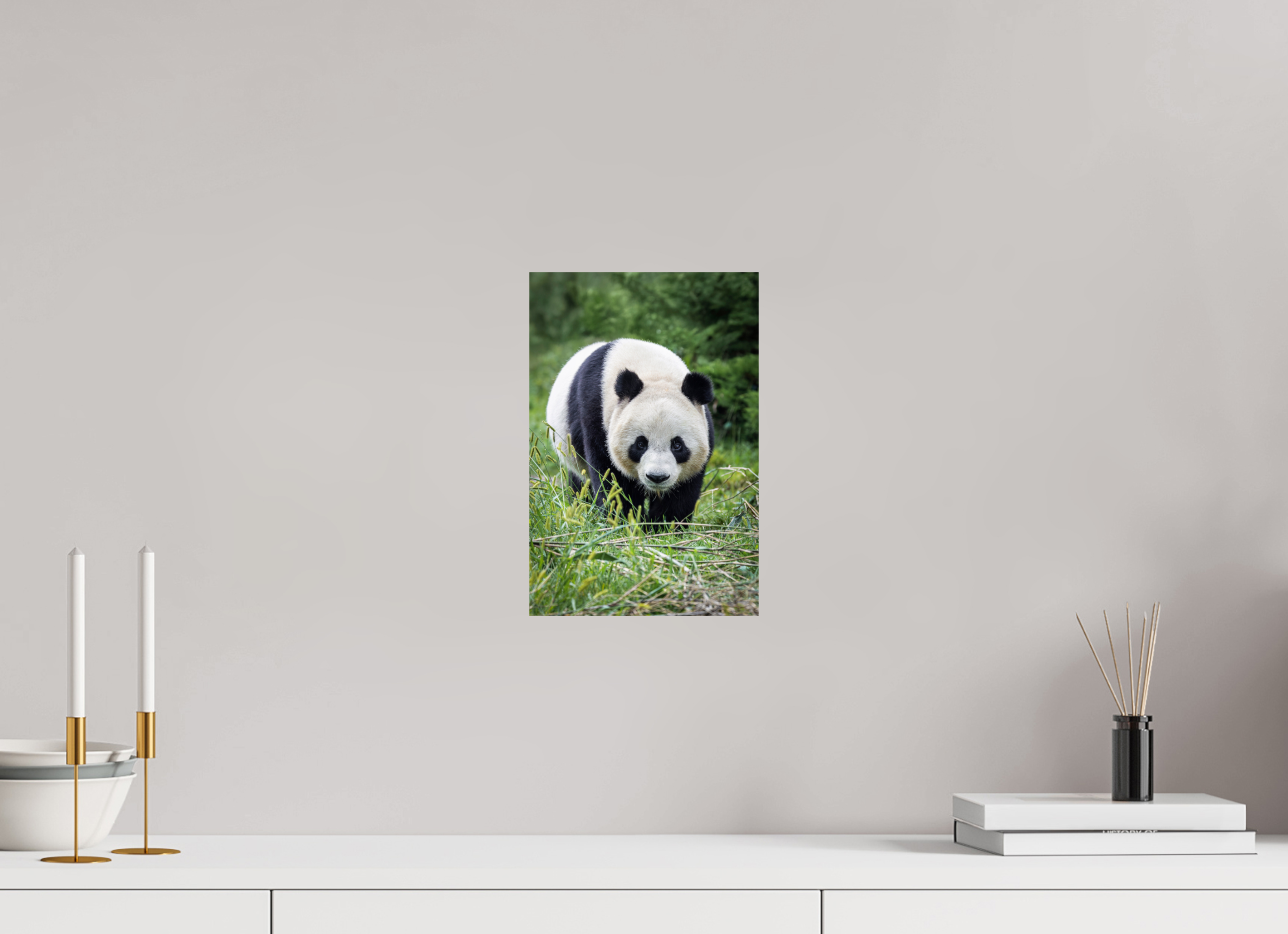 20 x 30 cm, Fine Art Print auf Alu-Dibond Forest Friend