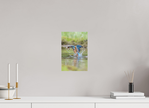 Catch of the Day – Eisvogel mit Beute als Wandbild, 20 × 30 cm, Fine-Art Matt