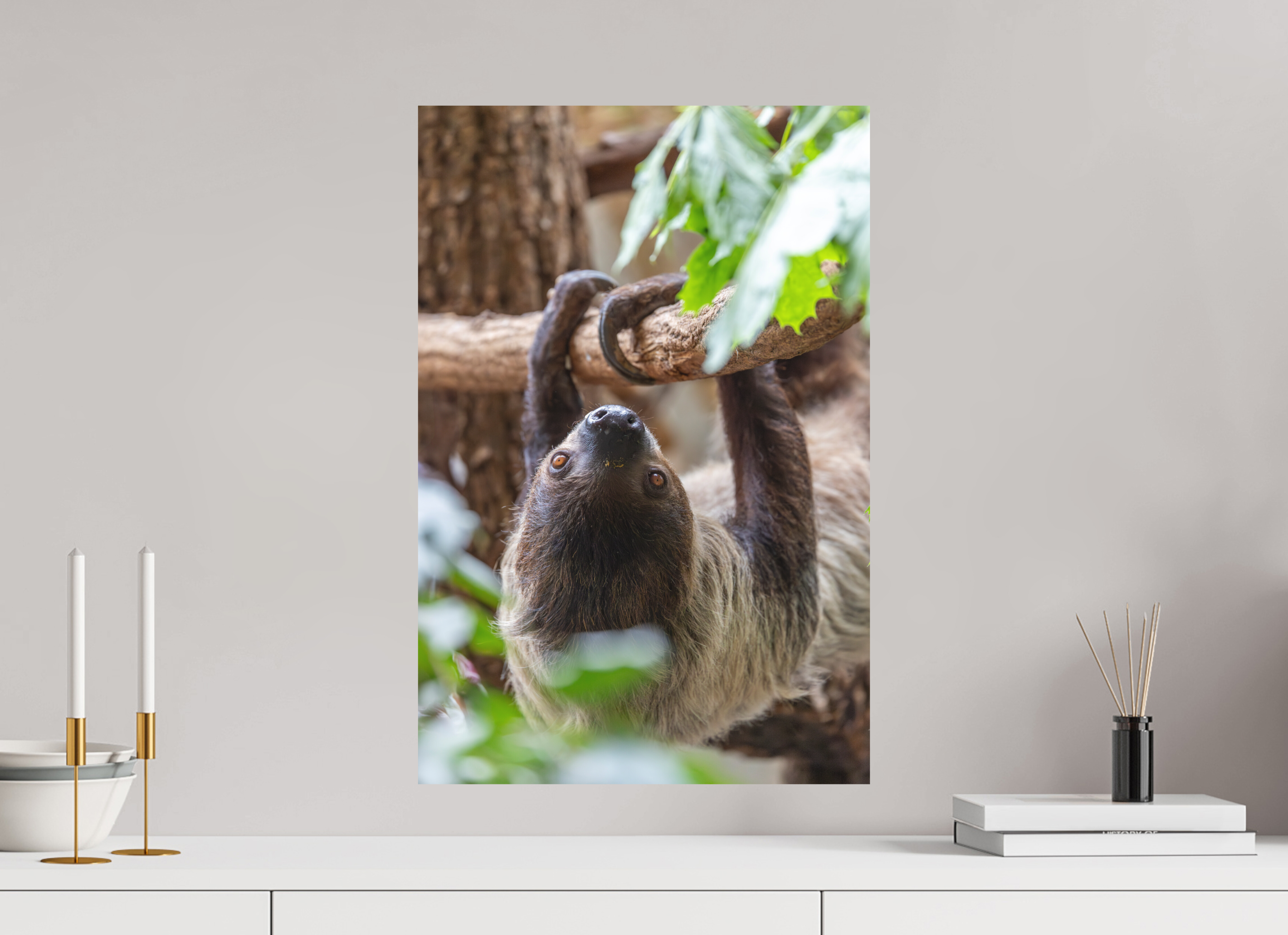 40 x 60 cm, Fine-Art Print Matt Hanging Around