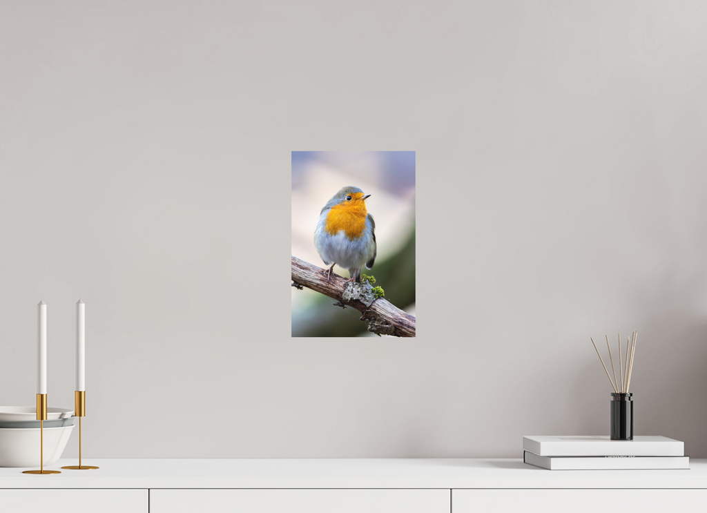 20 x 30 cm, Fine-Art Matt Perched in Light