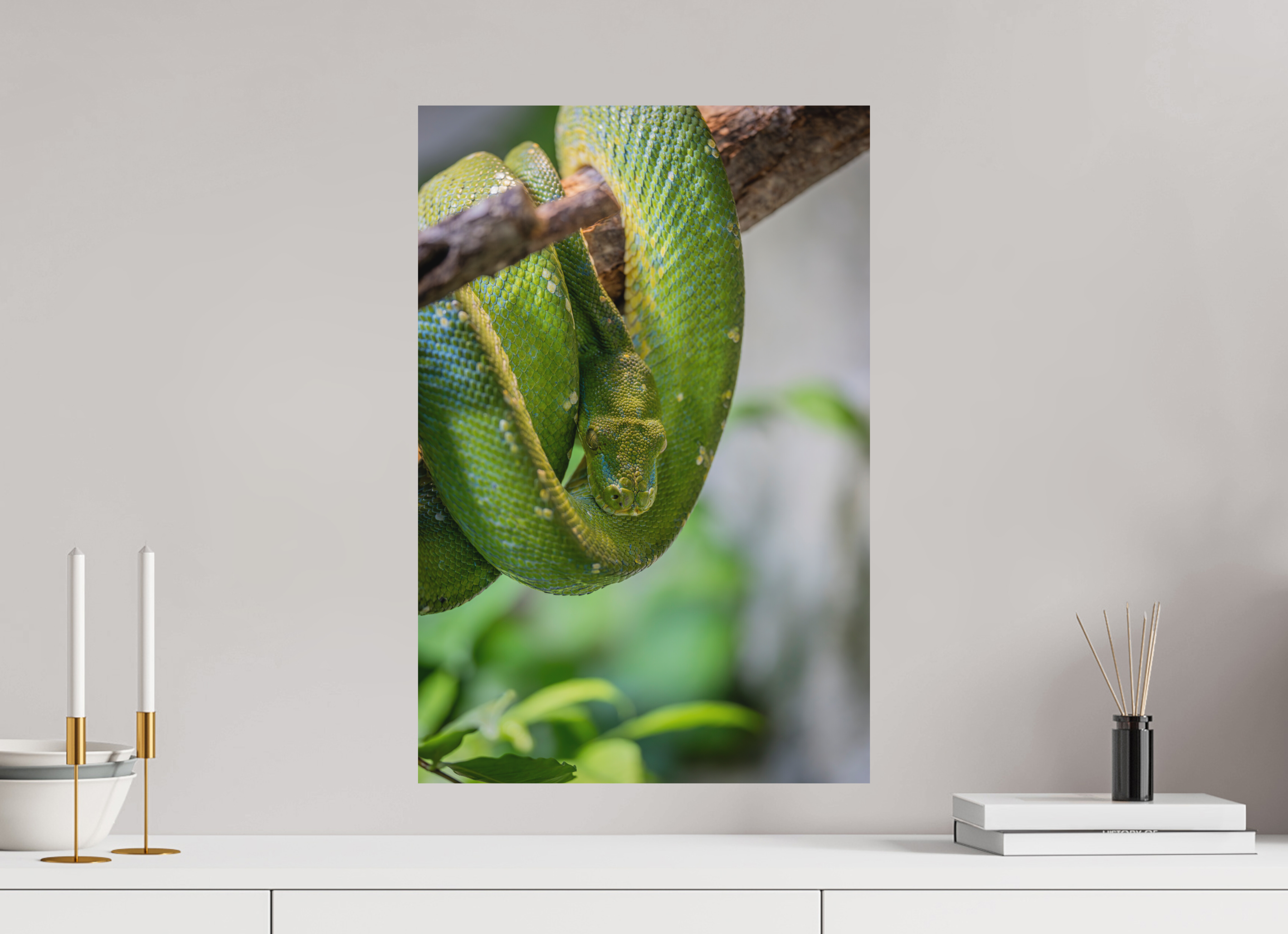 40 x 60 cm, Fine-Art Print Matt Coiled in Green