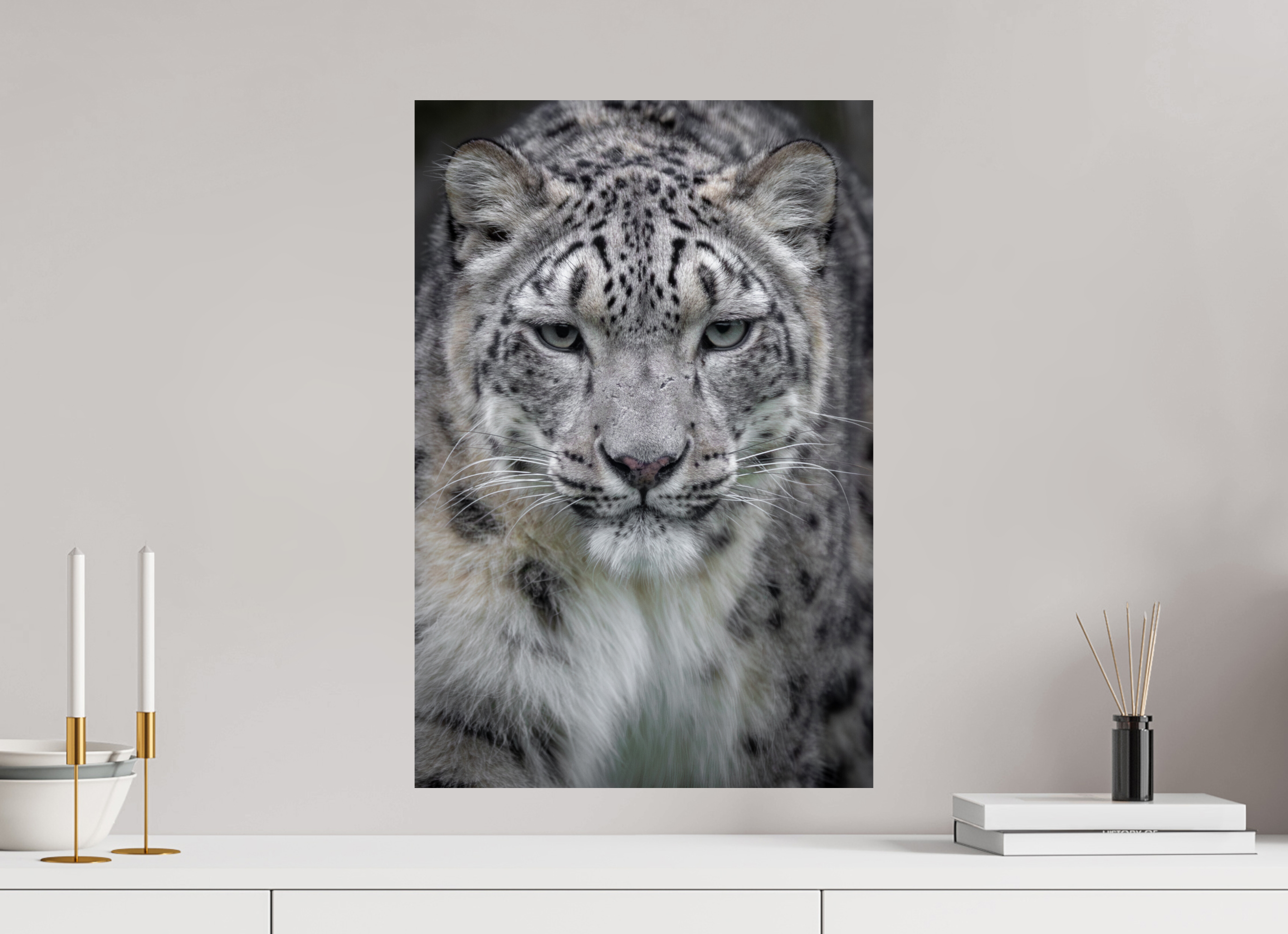 40 x 60 cm, Fine Art Print auf Alu-Dibond Unbroken Gaze