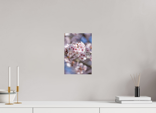 Cherry Blossom – Kirschblüten als Wandbild, 20 × 30 cm, Fine-Art Matt