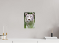 20 x 30 cm, Fine Art Print auf Alu-Dibond Jungle Phantom
