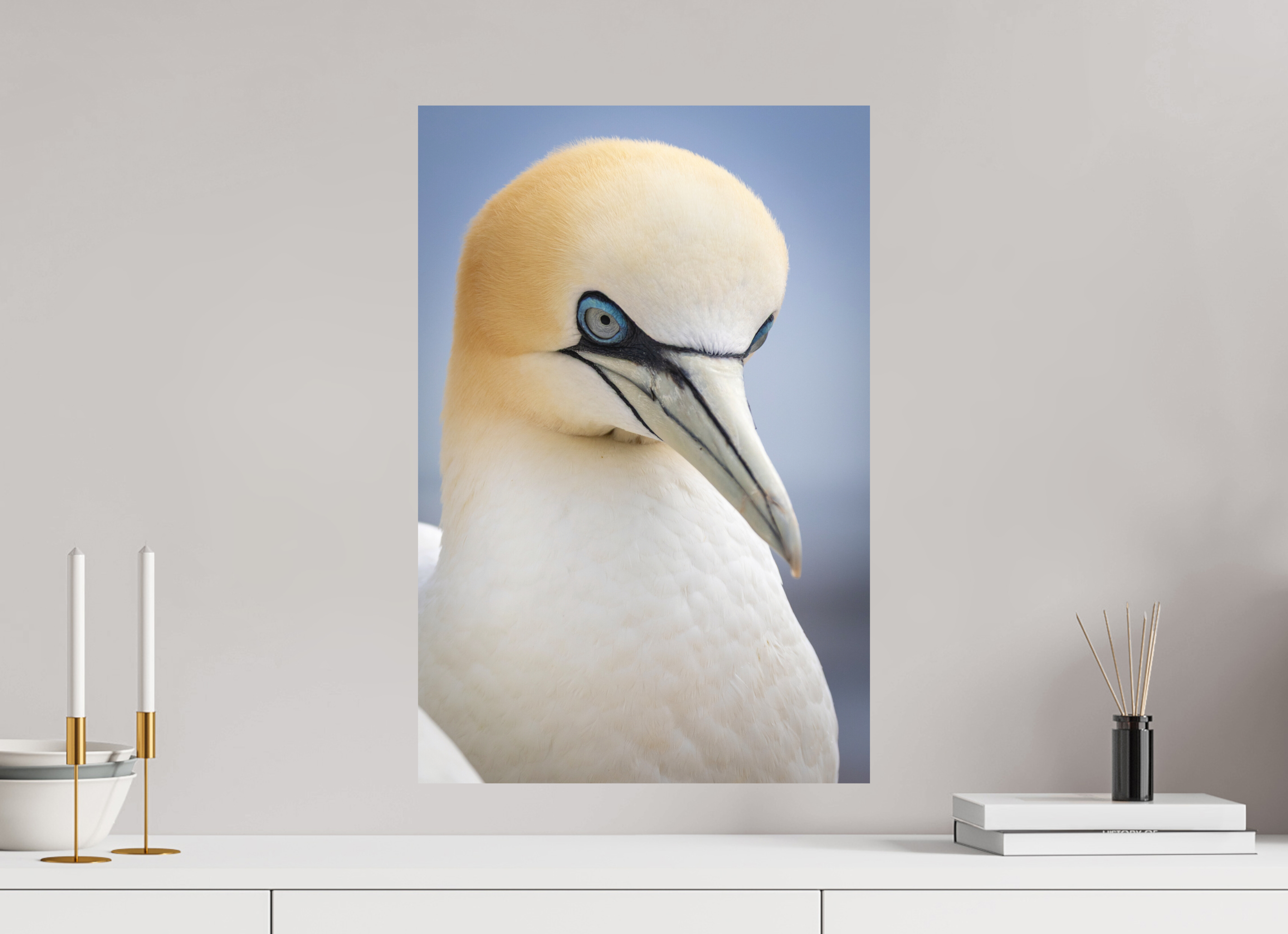 40 x 60 cm, Fine-Art Print Matt Seabird Majesty