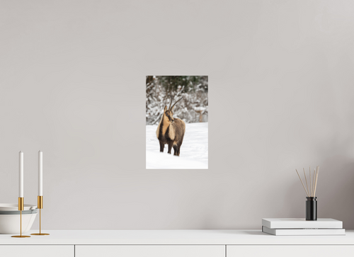 20 x 30 cm, Fine-Art Print Matt Alpine Grace