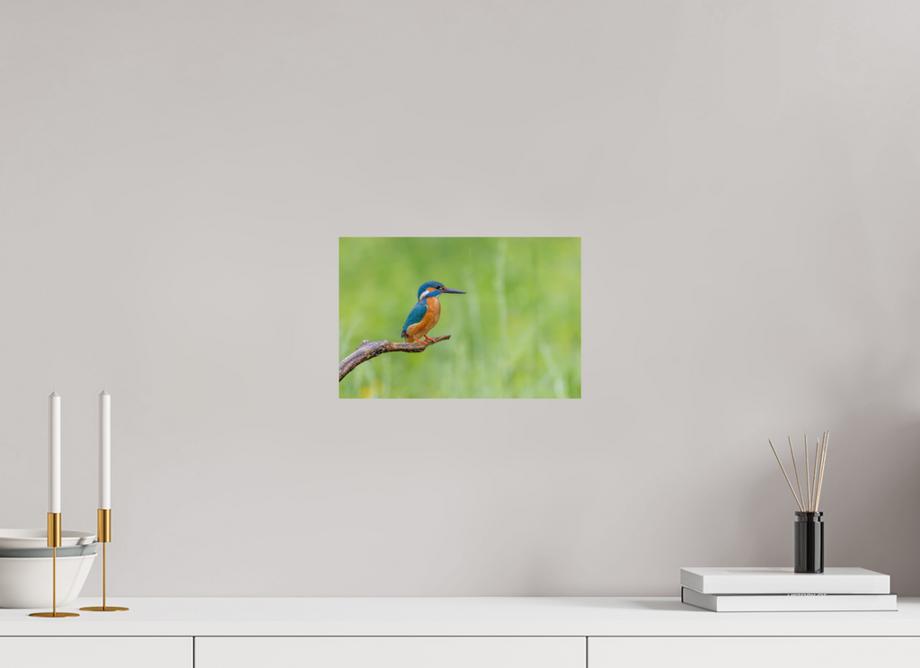 30 x 20 cm, Fine-Art Matt Silent Watcher