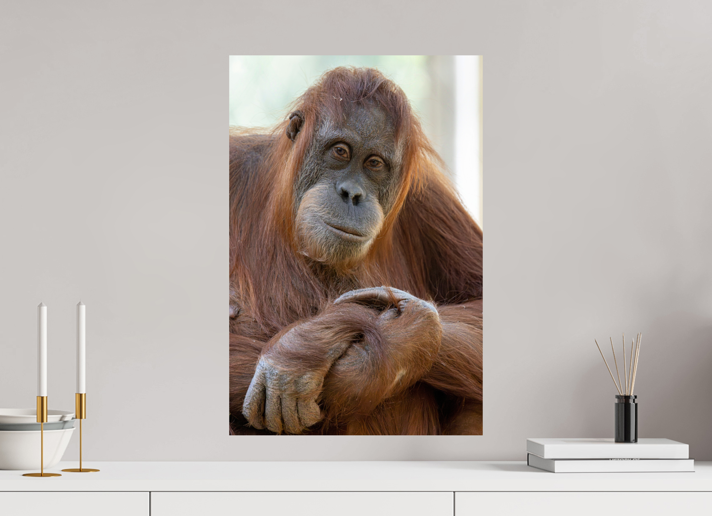 40 x 60 cm, Fine Art Print auf Alu-Dibond Soulful Gaze