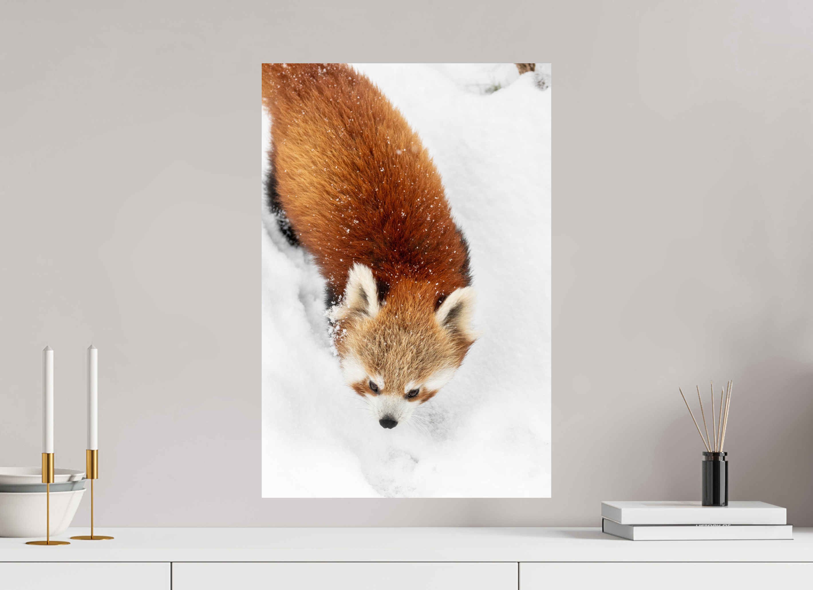 40 x 60 cm, Fine Art Print auf Alu-Dibond Snowbound Explorer