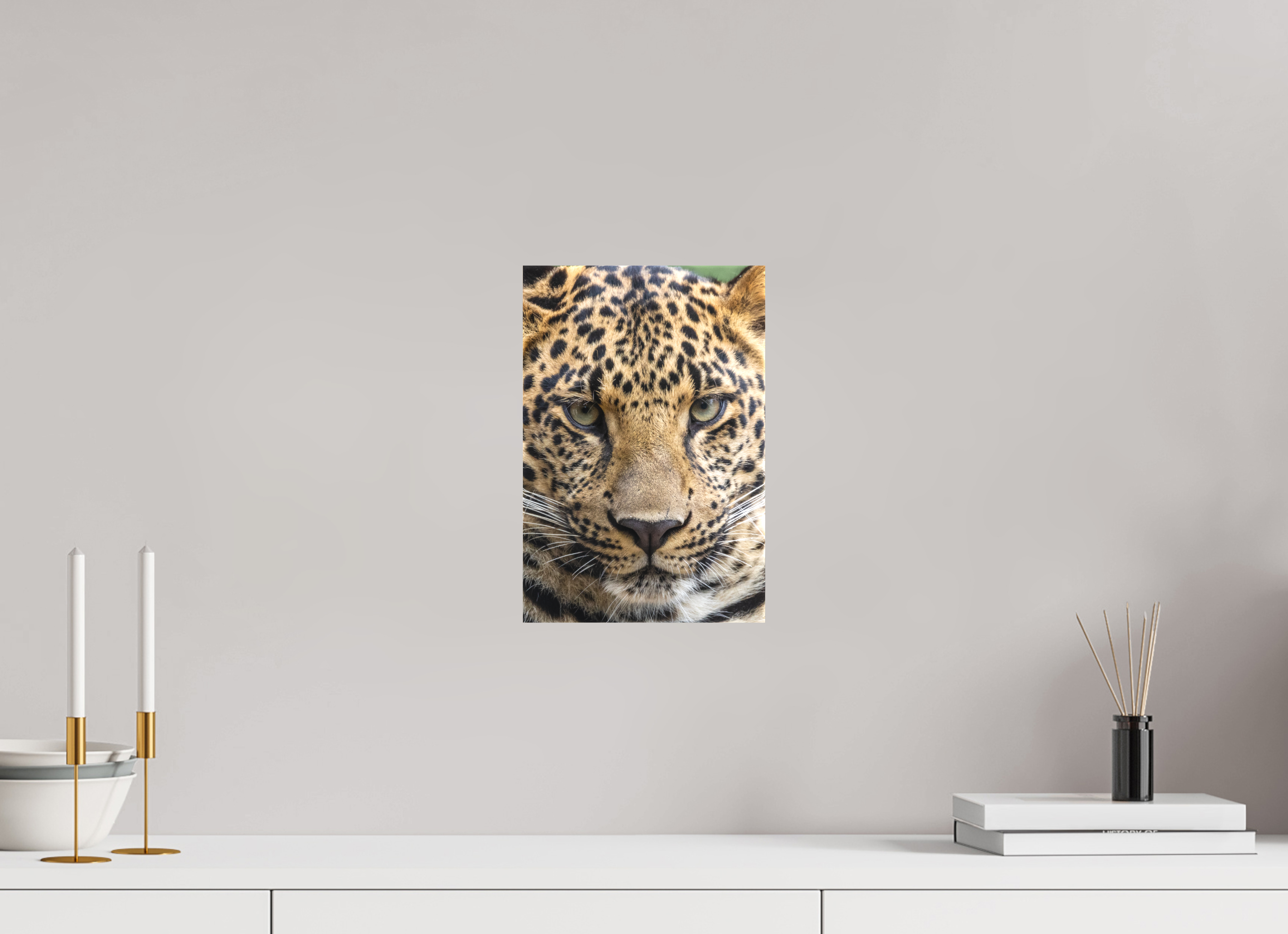 20 x 30 cm, Leinwand Wild Focus