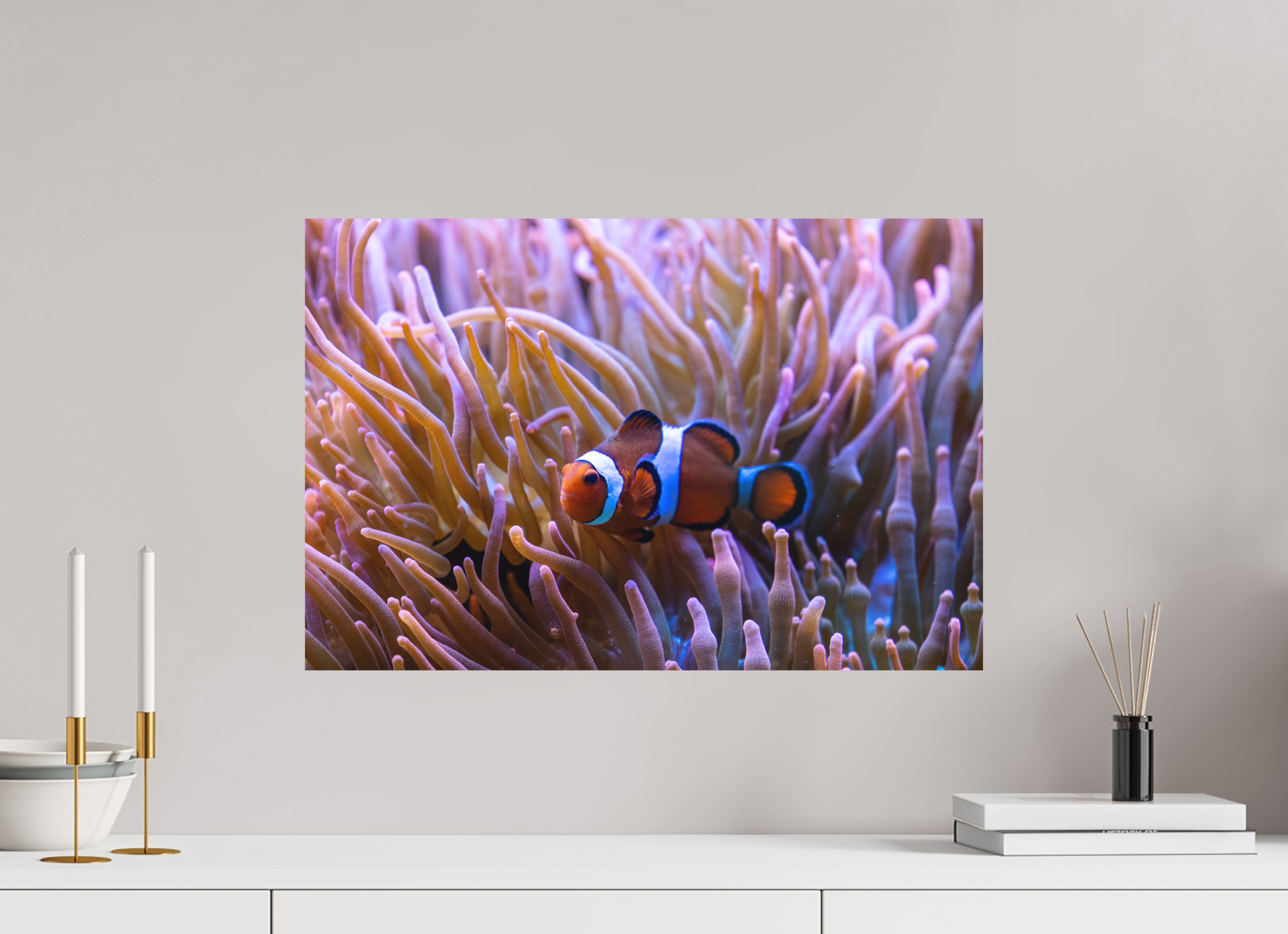 60 x 40 cm, Fine-Art Matt Reef Life