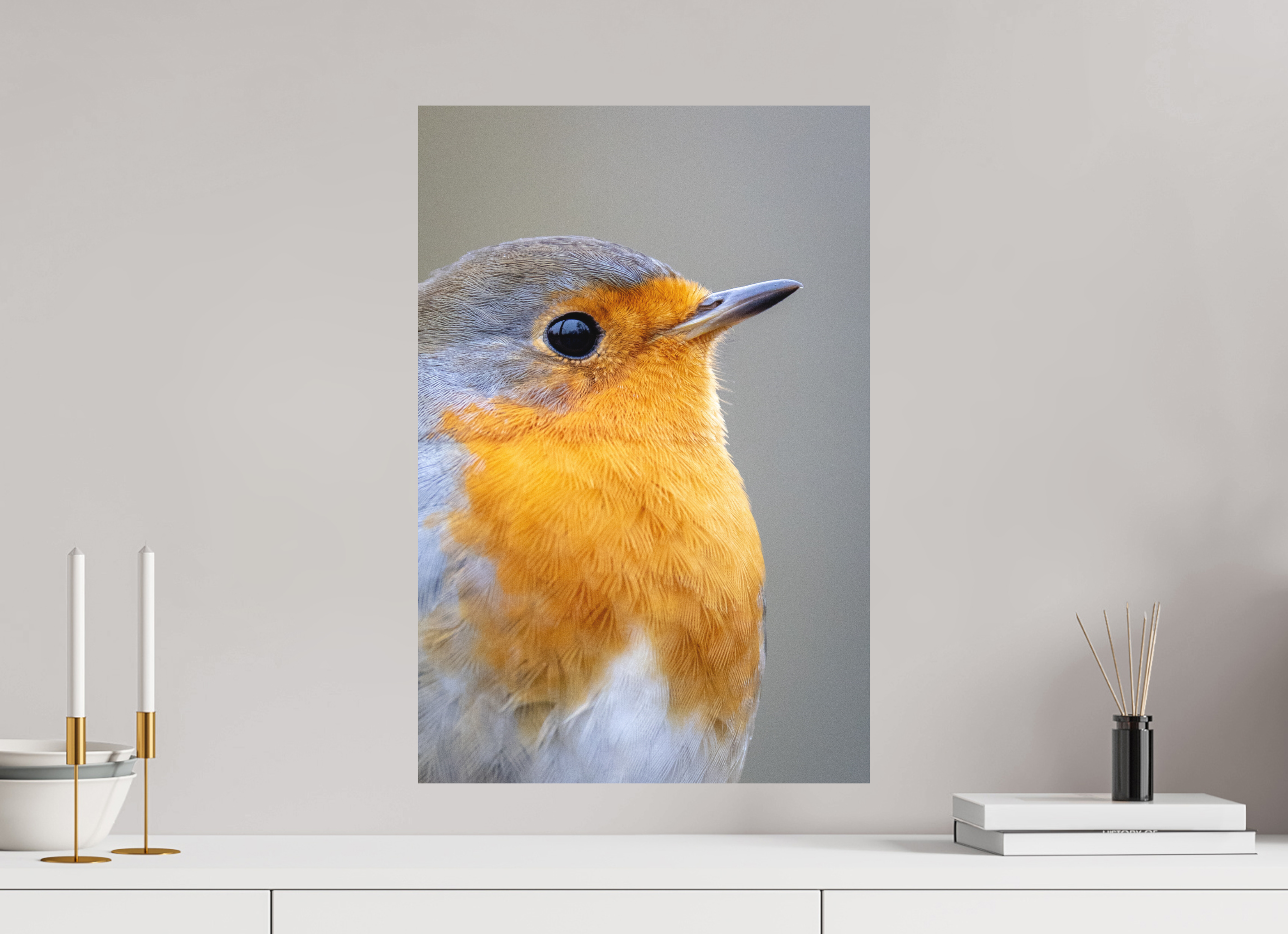 40 x 60 cm, Fine-Art Matt Robin Portrait