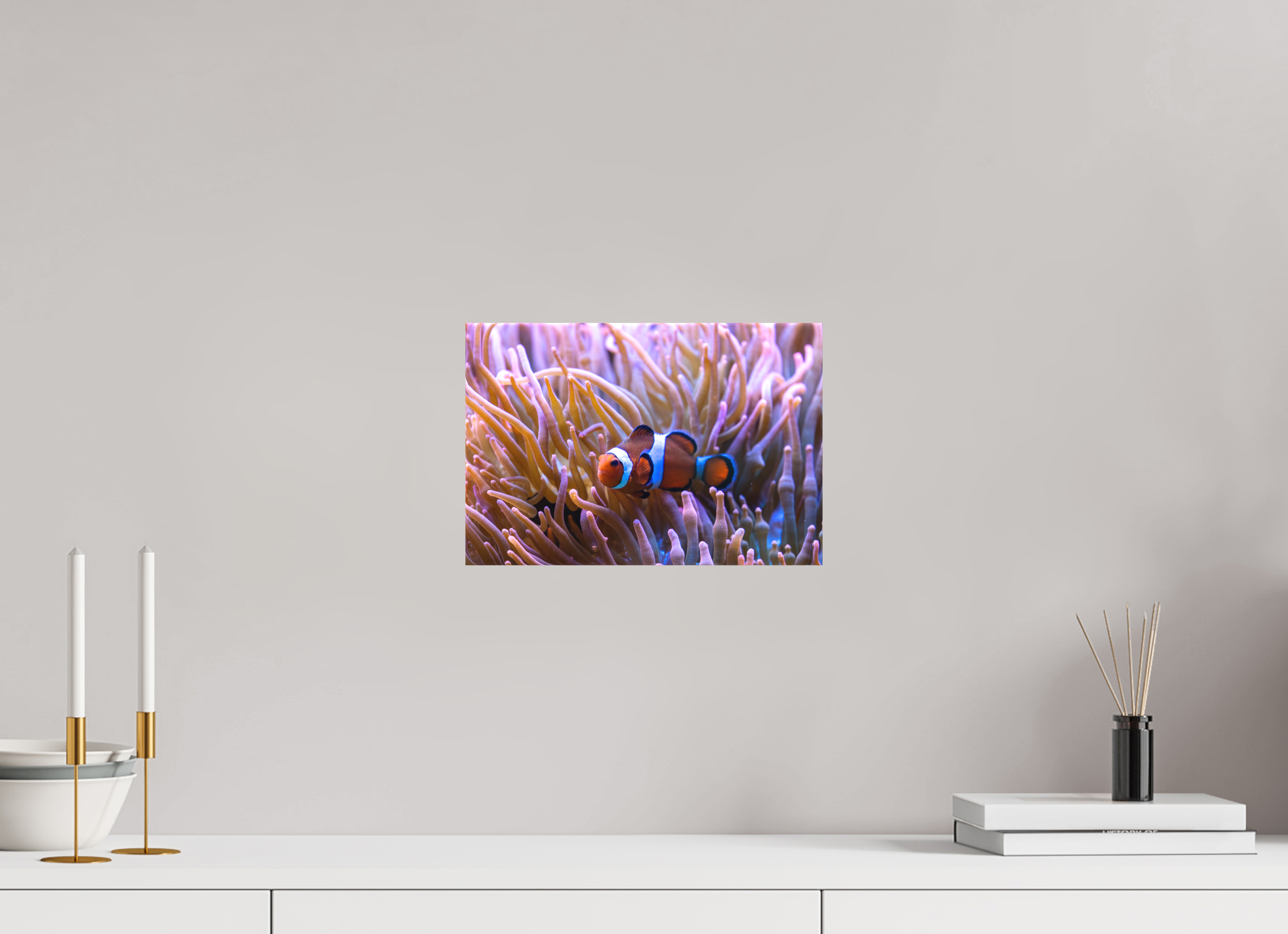 30 x 20 cm, Leinwand Reef Life