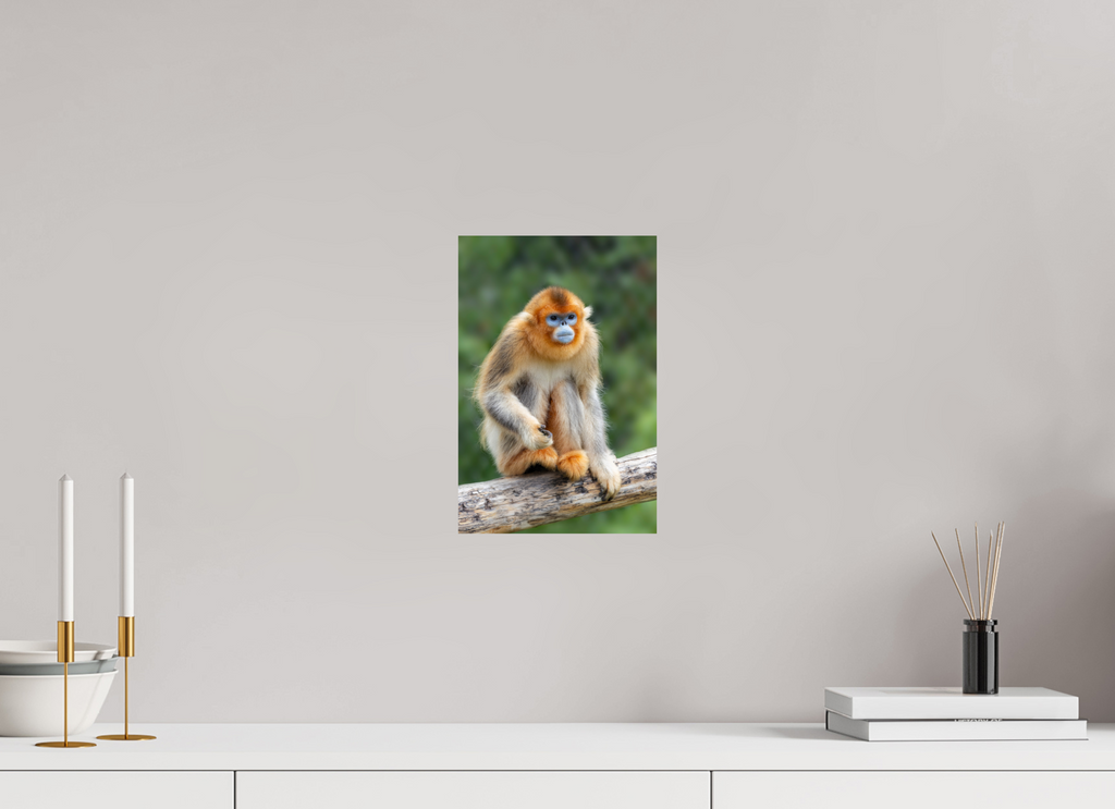 20 x 30 cm, Fine Art Print auf Alu-Dibond Golden Rest