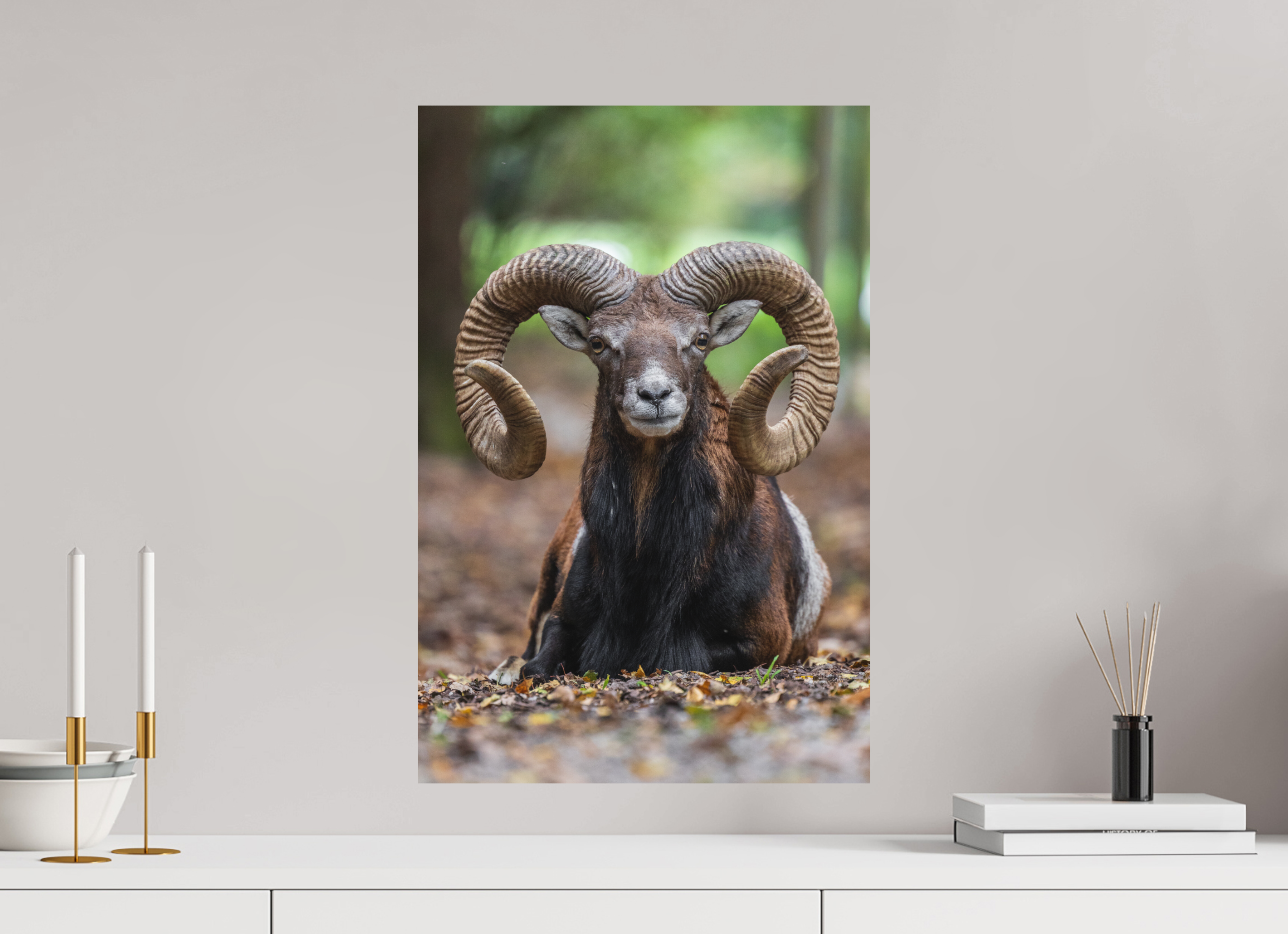 40 x 60 cm, Fine-Art Matt Majestic Rest
