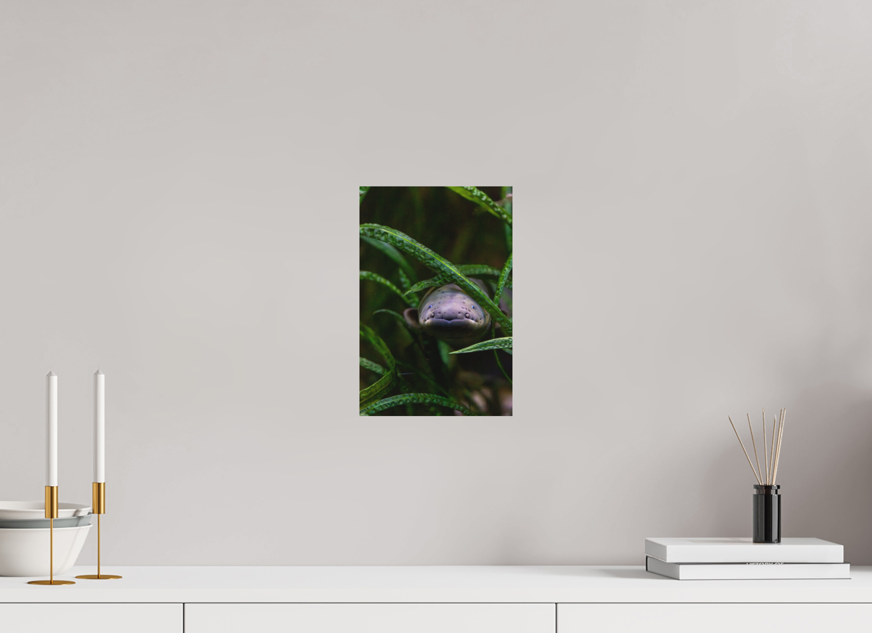 20 x 30 cm, Fine-Art Print Matt Electric Peek