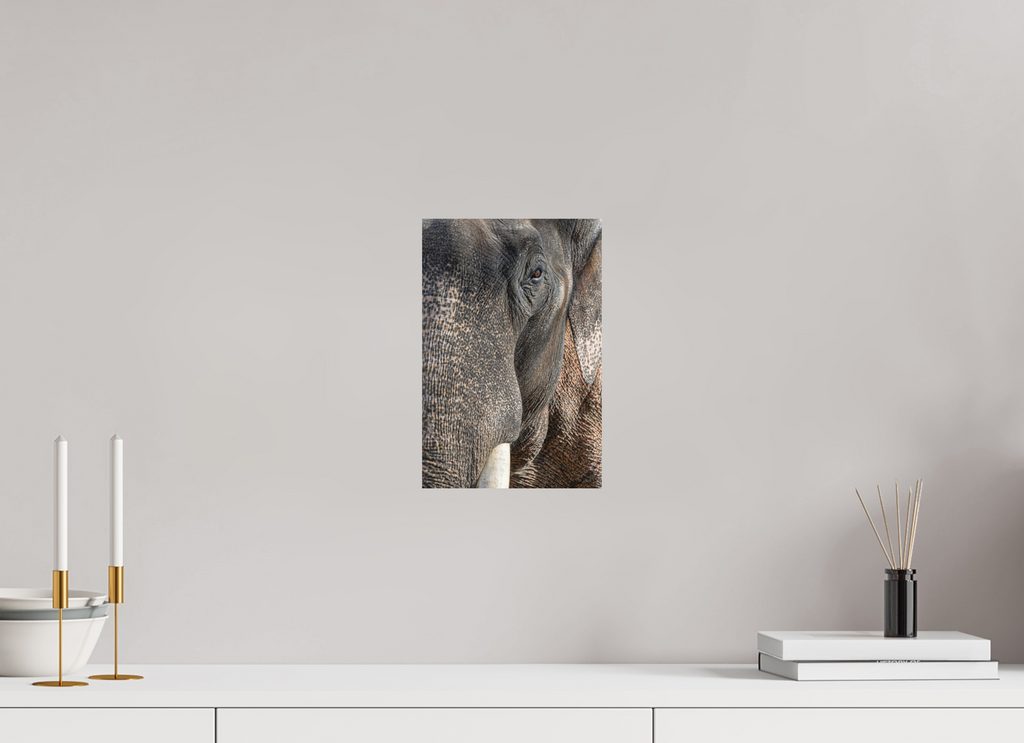20 x 30 cm, Fine-Art Print Matt Soul of the Elephant