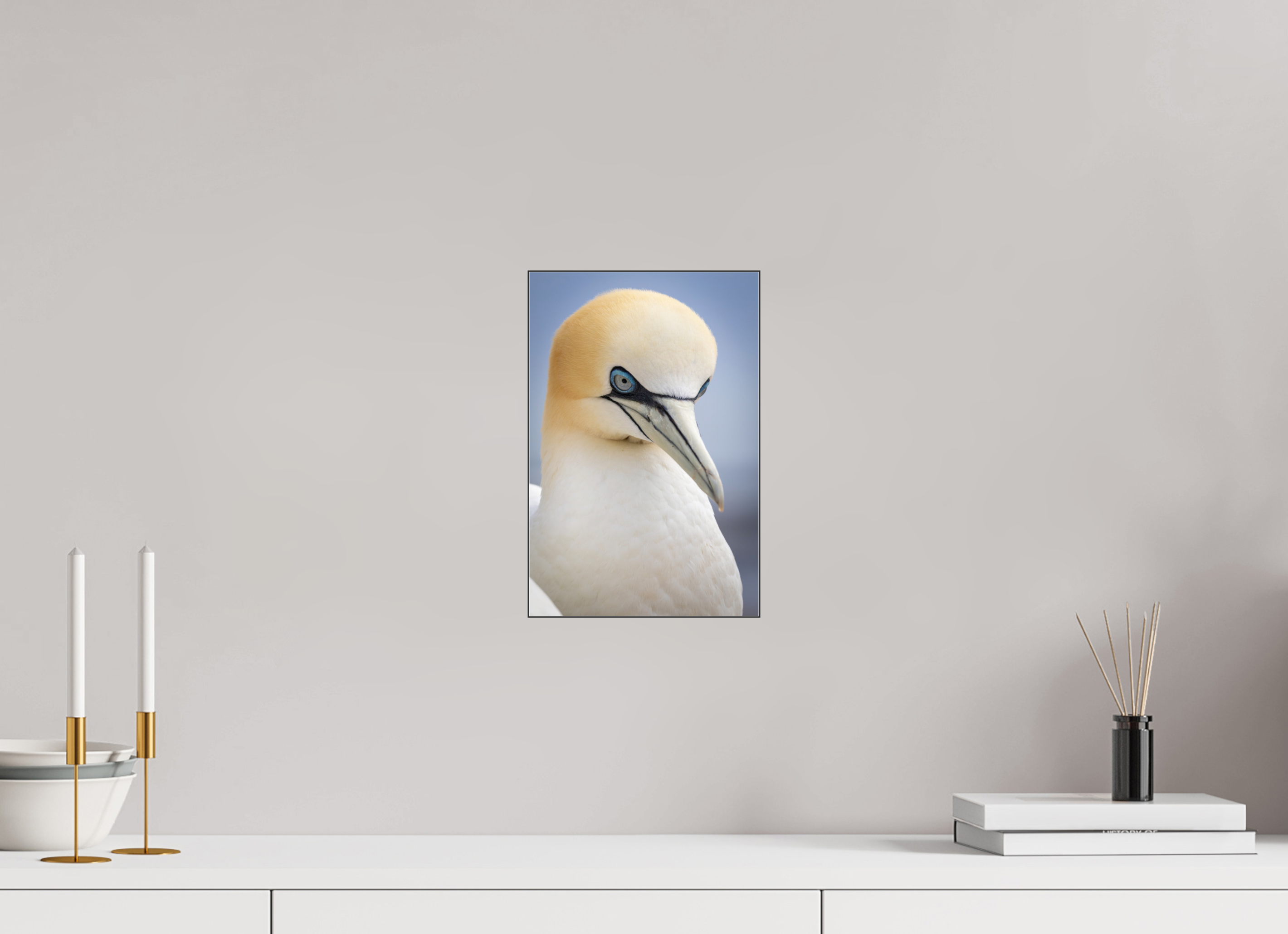 20 x 30 cm, Foto-Abzug hinter Acrylglas glänzend Seabird Majesty