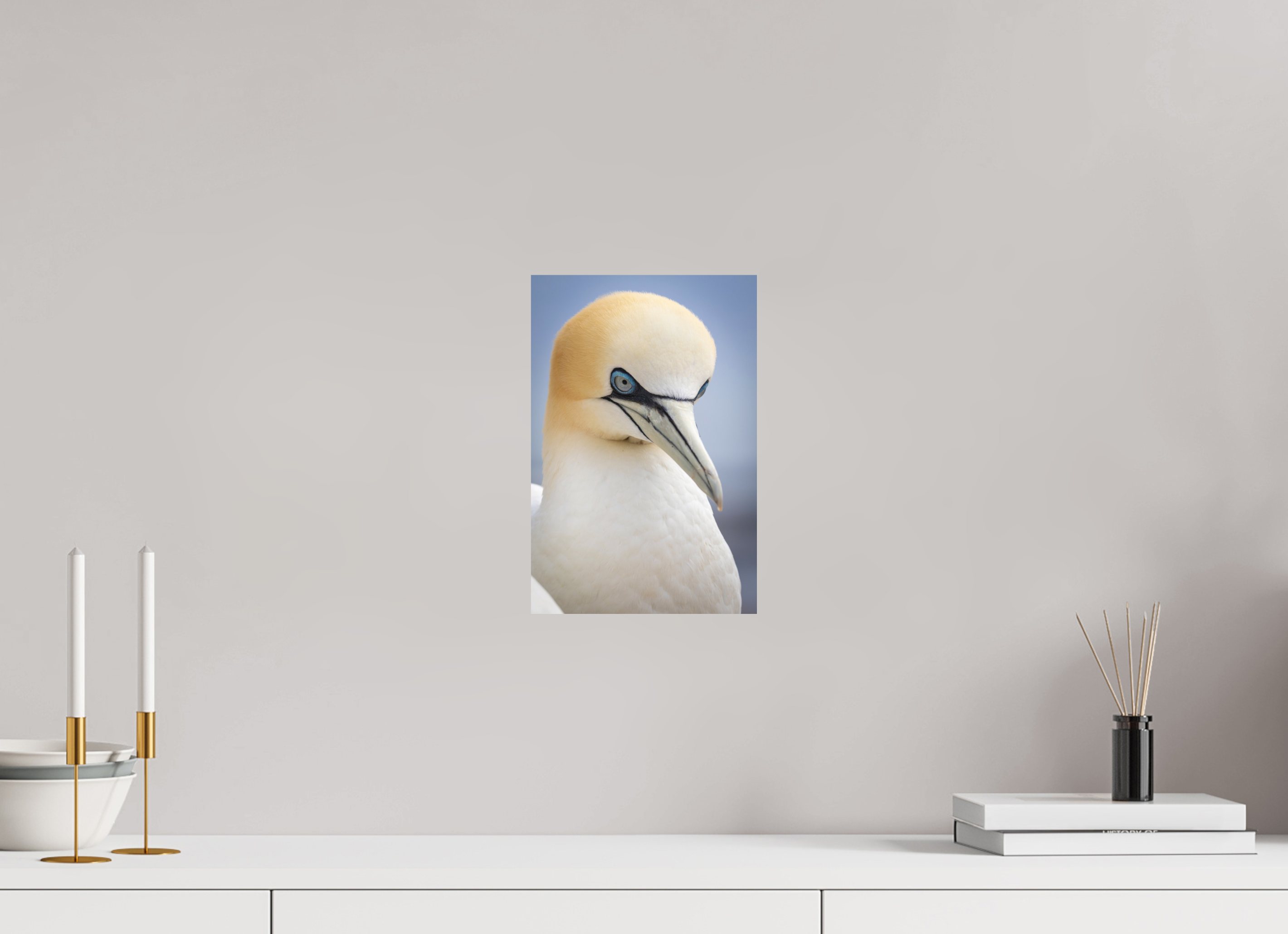 20 x 30 cm, Fine-Art Print Matt Seabird Majesty