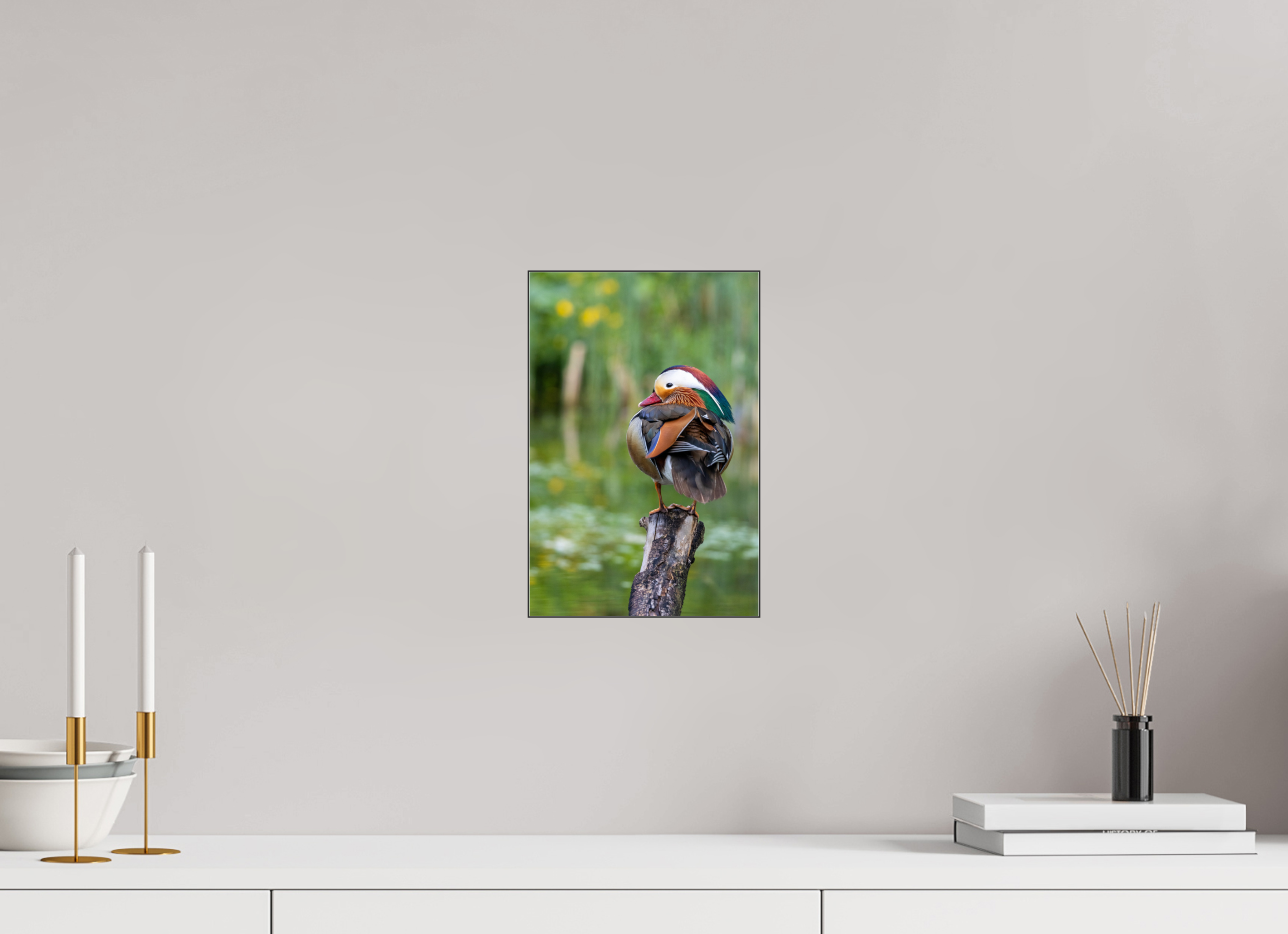 20 x 30 cm, Foto-Abzug hinter Acrylglas glänzend Perched Beauty