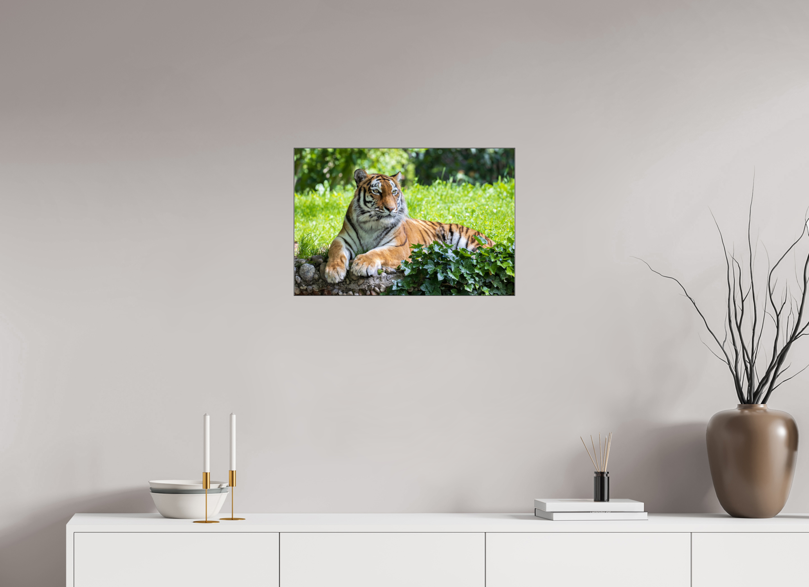 60 x 40 cm, Foto-Abzug hinter Acrylglas glänzend Resting Predator