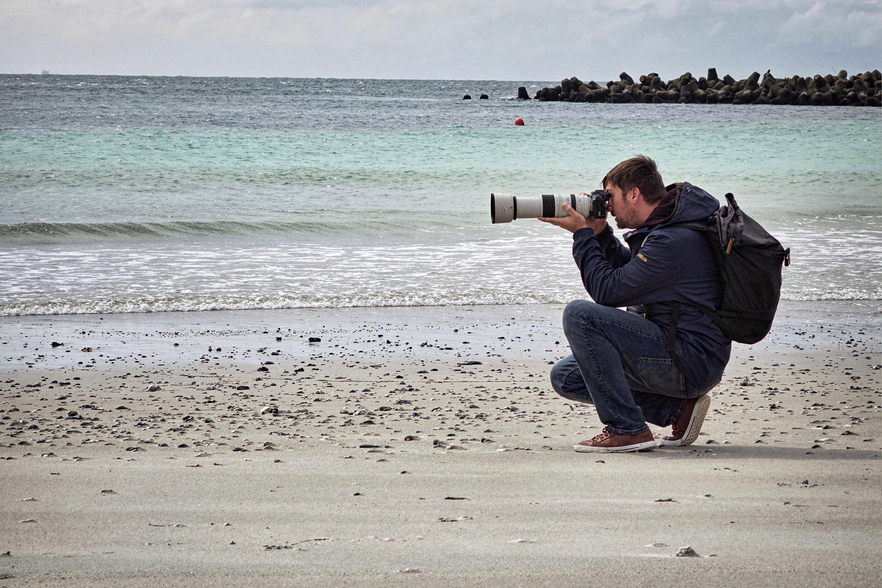 Wildlife Fotograf am Strand