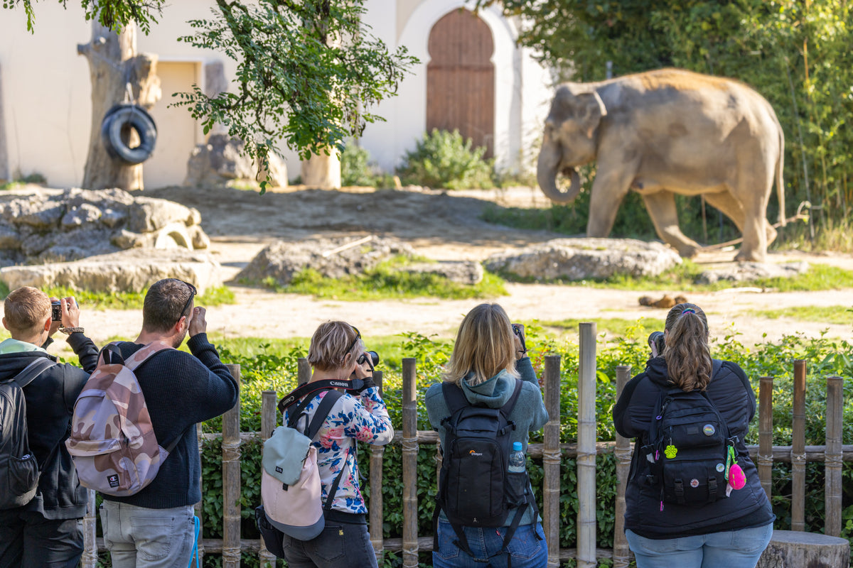 Tierfotografie im Zoo und Tierpark