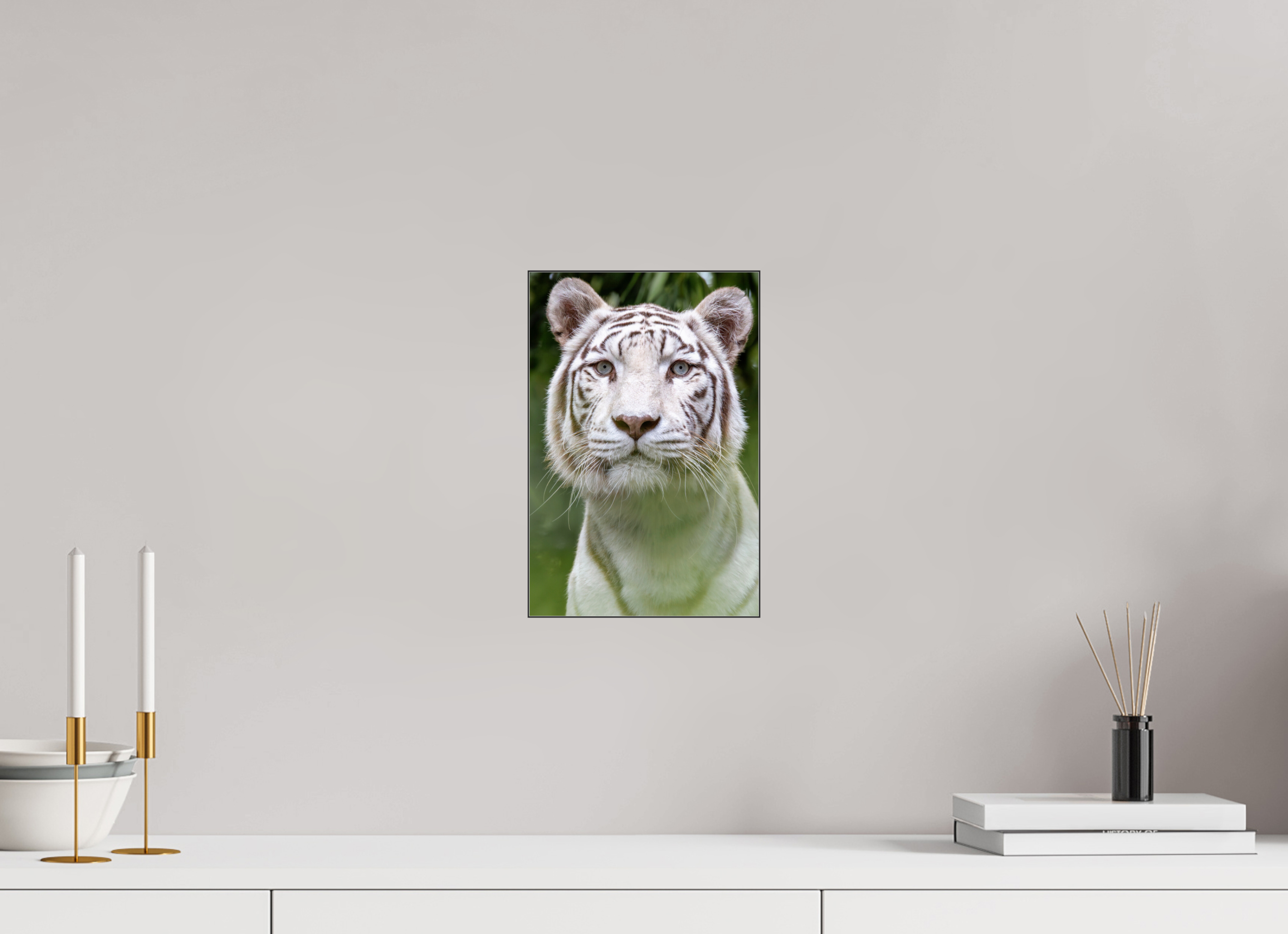20 x 30 cm, Foto-Abzug hinter Acrylglas glänzend Jungle Phantom