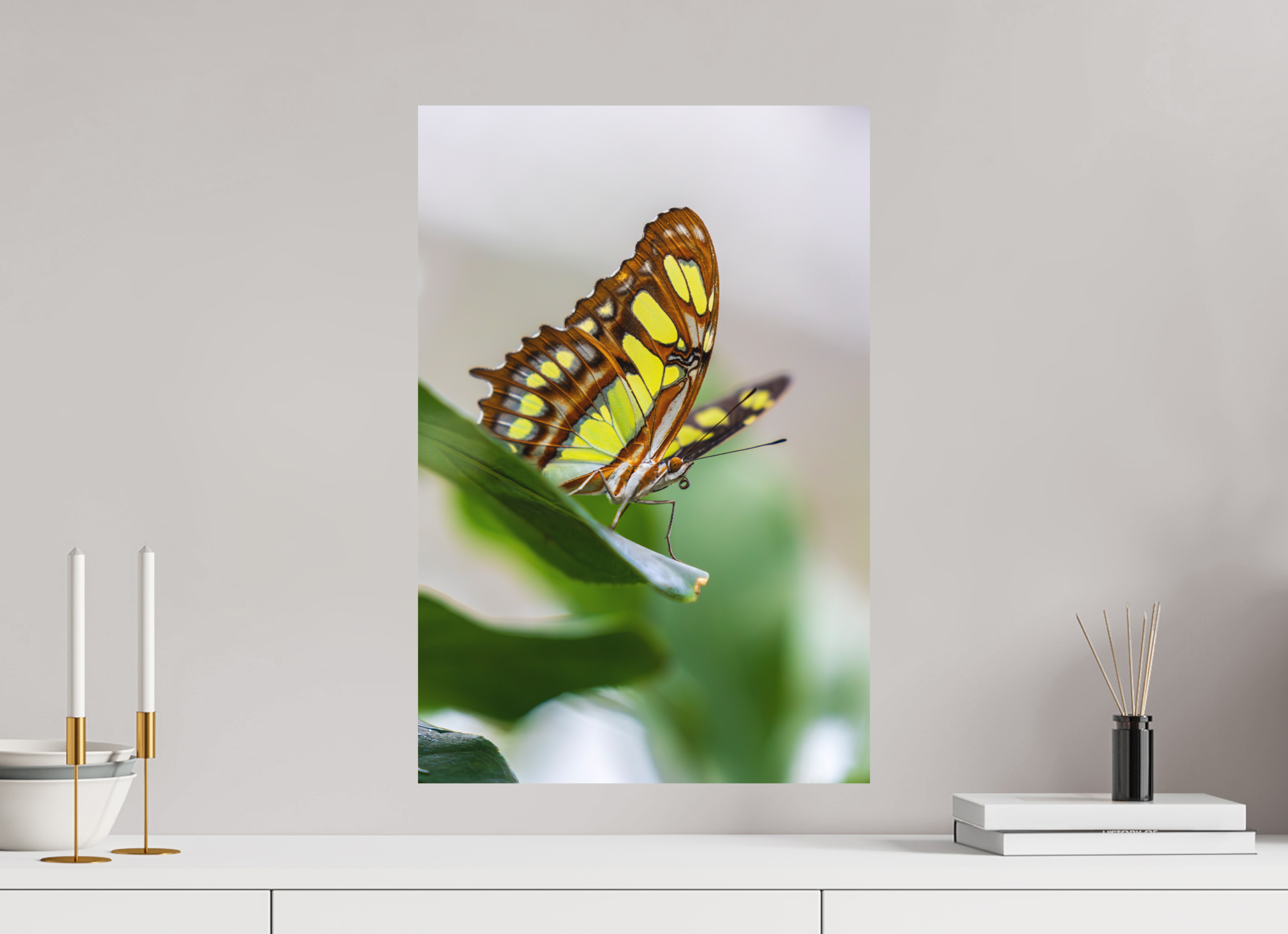 40 x 60 cm, Fine-Art Matt Soft Beauty
