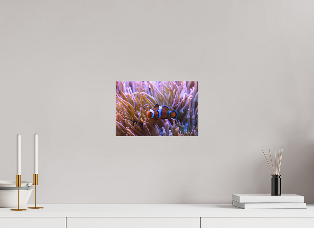 30 x 20 cm, Fine-Art Matt Reef Life