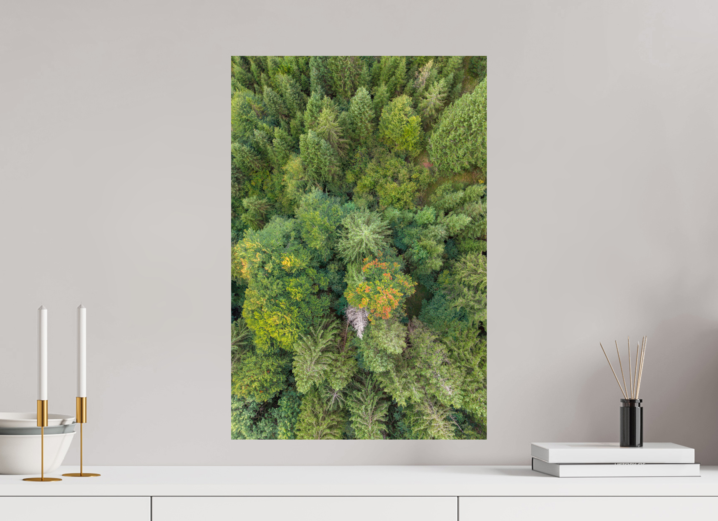 40 x 60 cm, Fine Art Print auf Alu-Dibond Vertical Pines