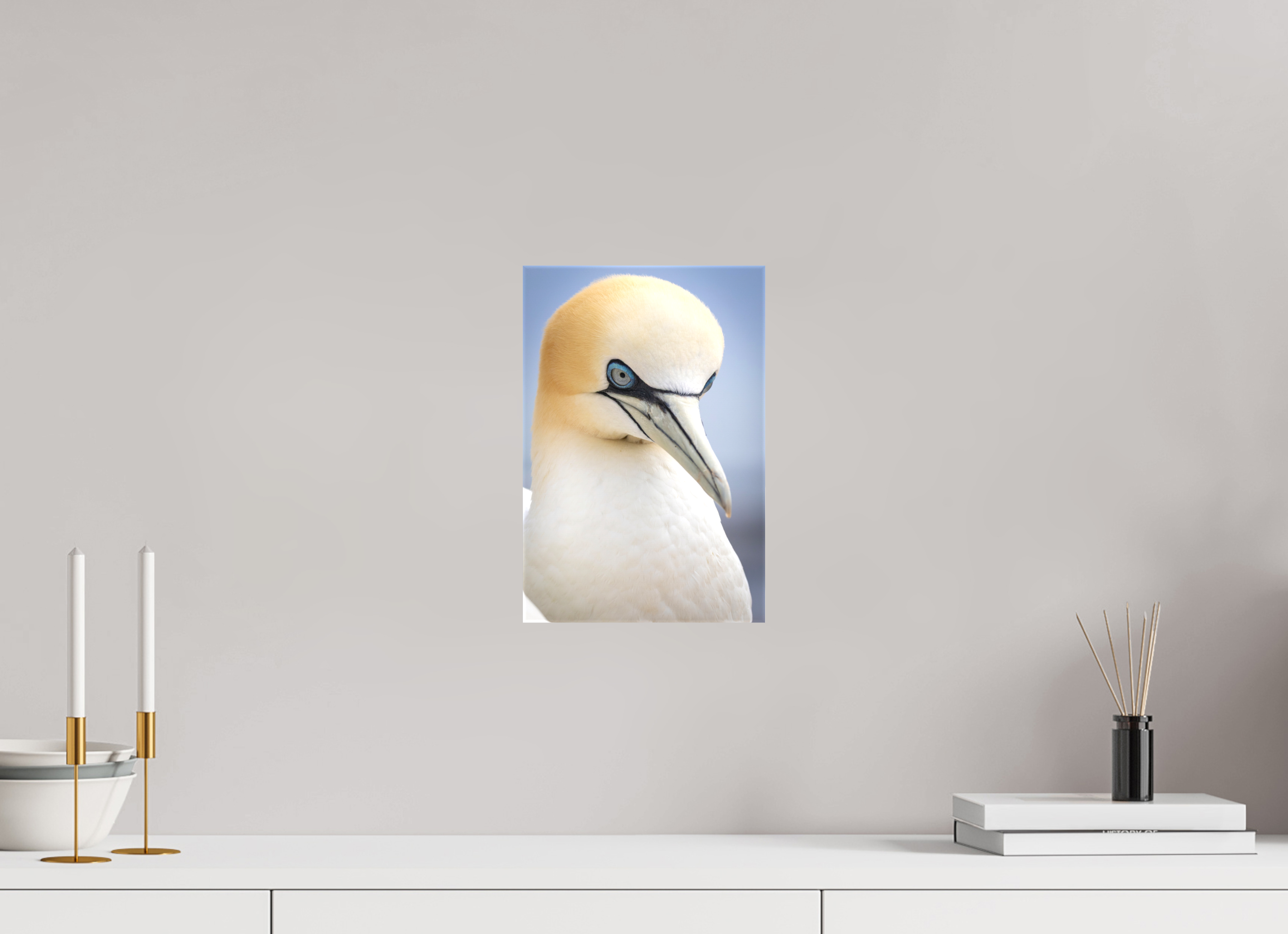 20 x 30 cm, Leinwand Seabird Majesty