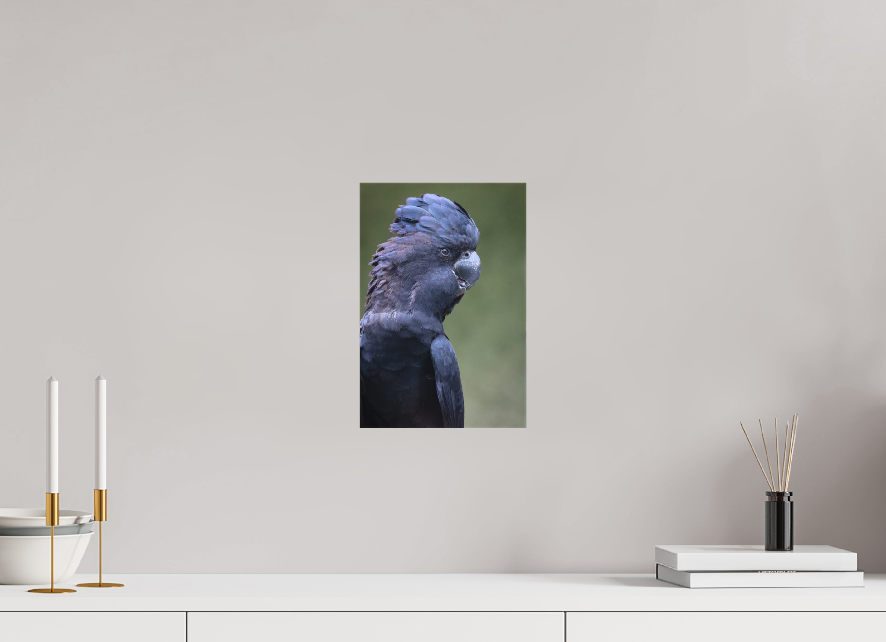 20 x 30 cm, Leinwand Profile of the Black Cockatoo